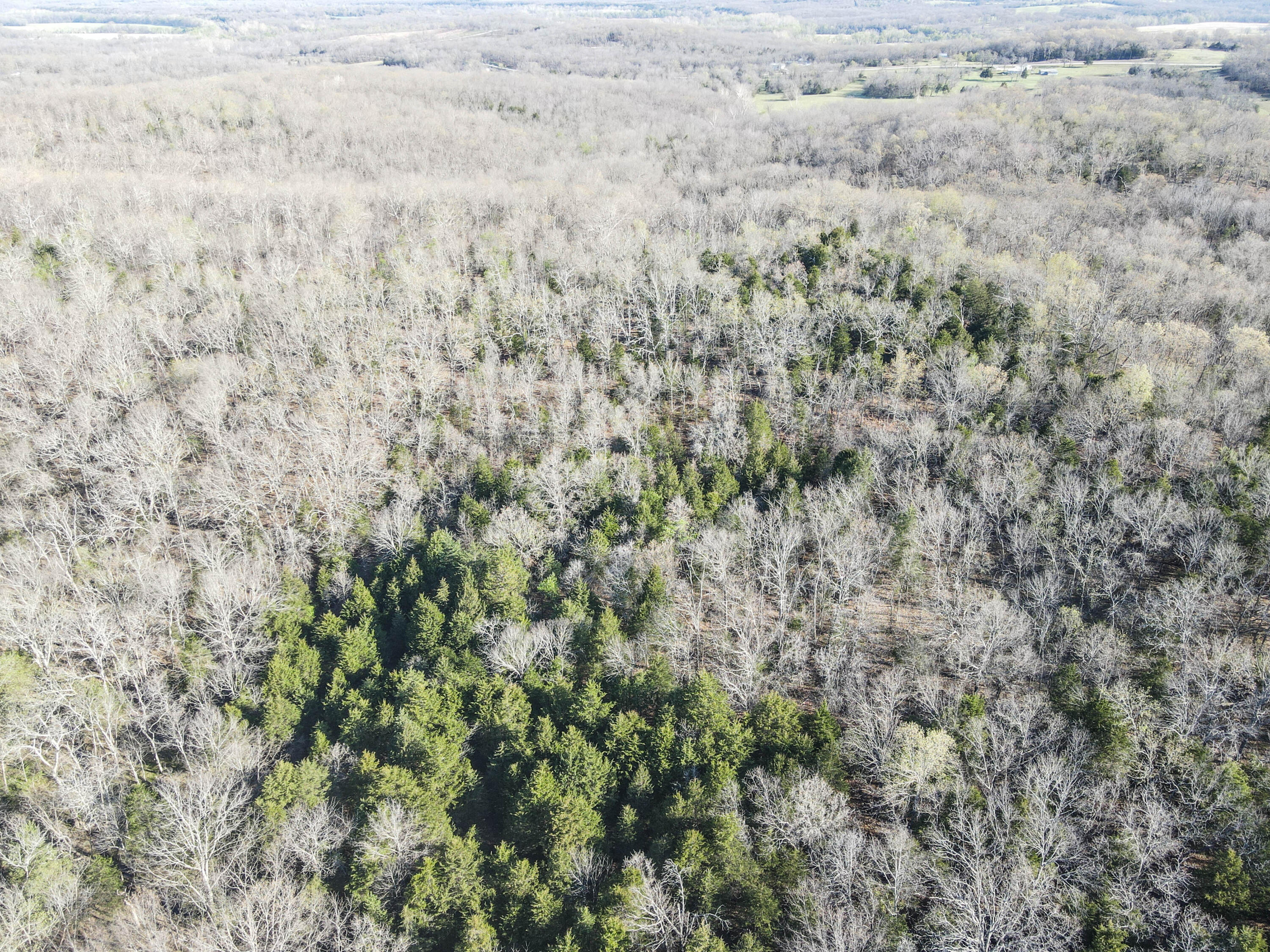 Photo 27 - Land for sale – 000 S Highway J   Stockton, MO