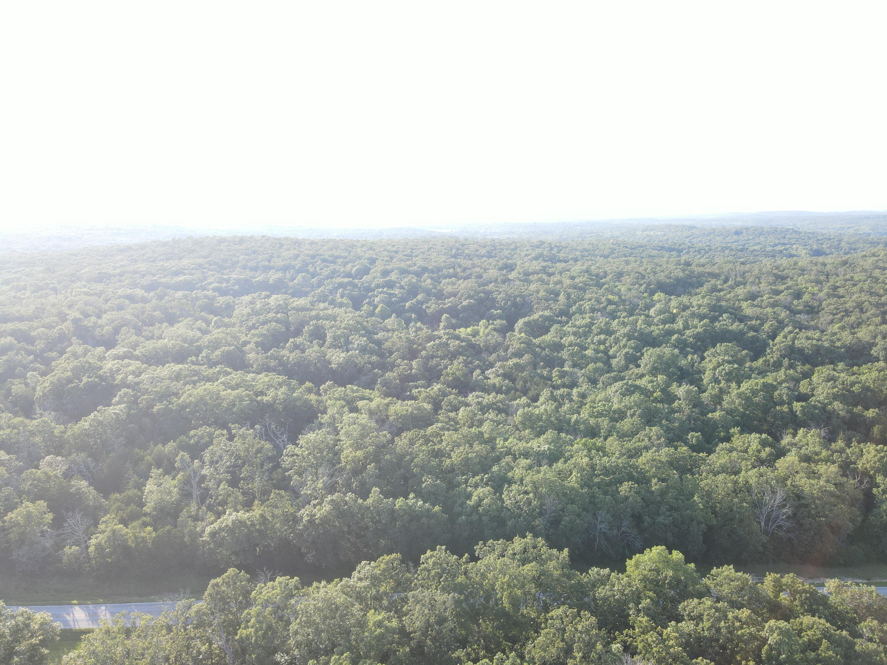 Photo 13 - Land for sale – 000 S Highway J   Stockton, MO