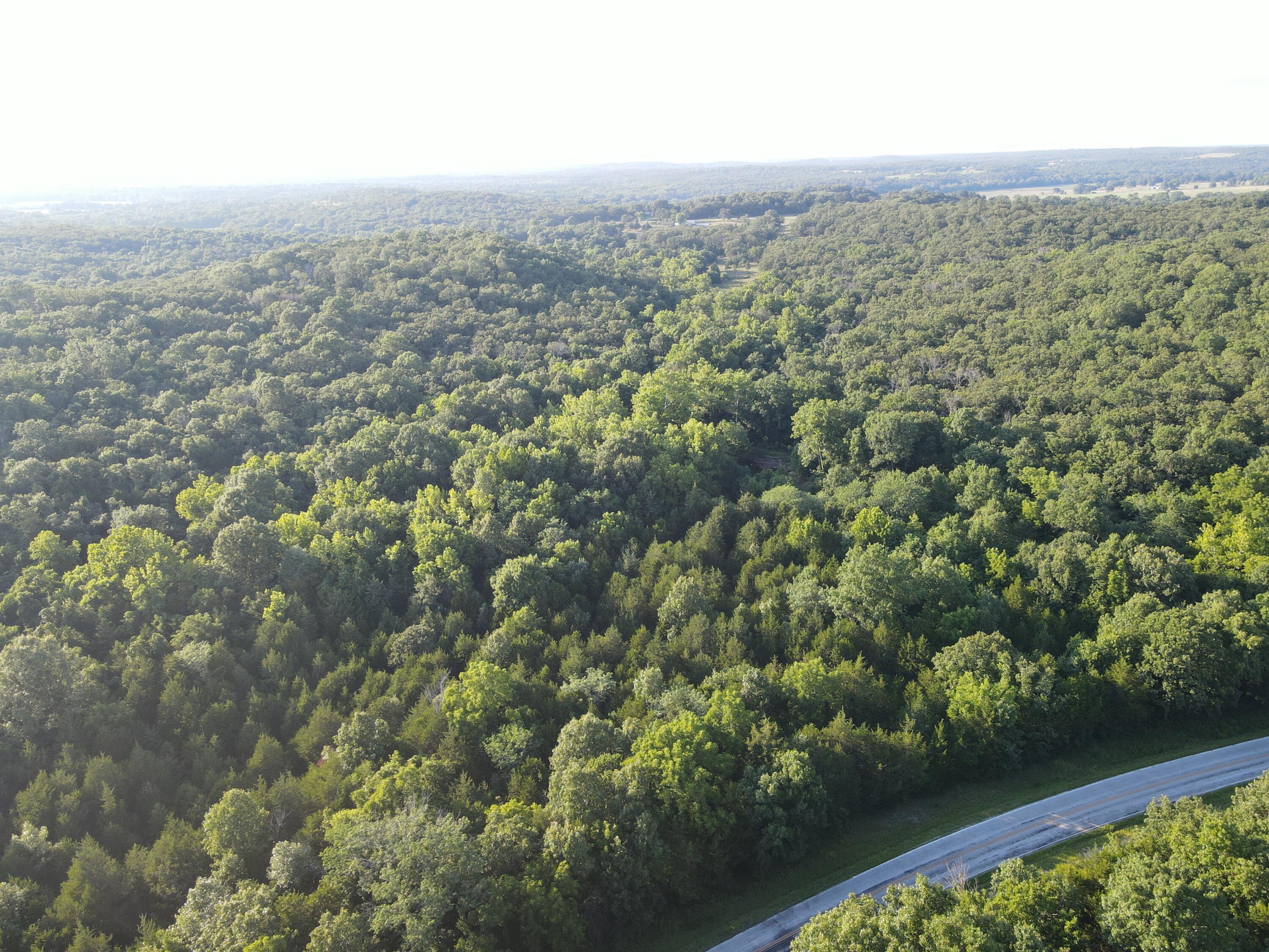 Photo 10 - Land for sale – 000 S Highway J   Stockton, MO