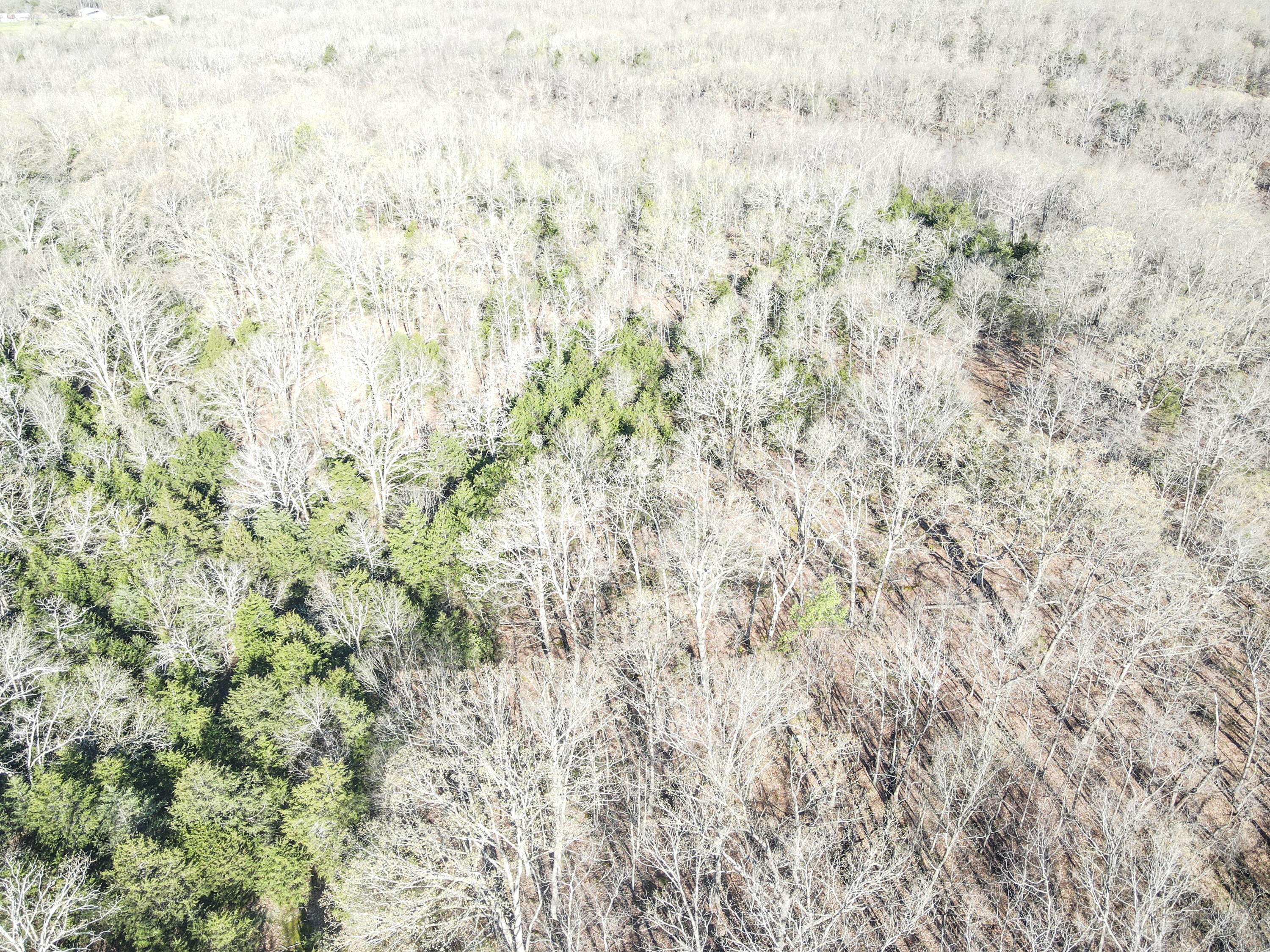 Photo 42 - Land for sale – 000 S Highway J   Stockton, MO