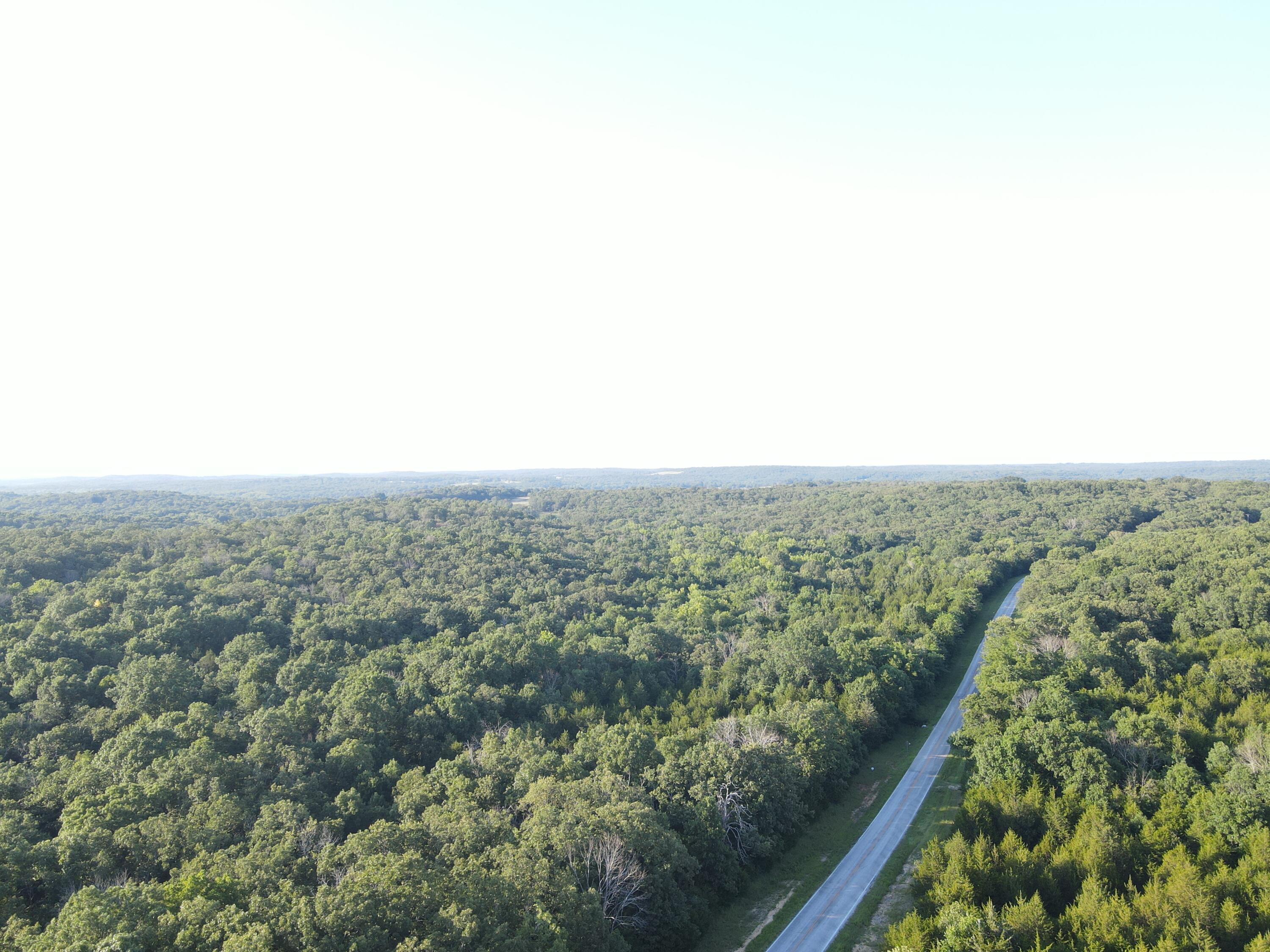 Photo 2 - Land for sale – 000 S Highway J   Stockton, MO