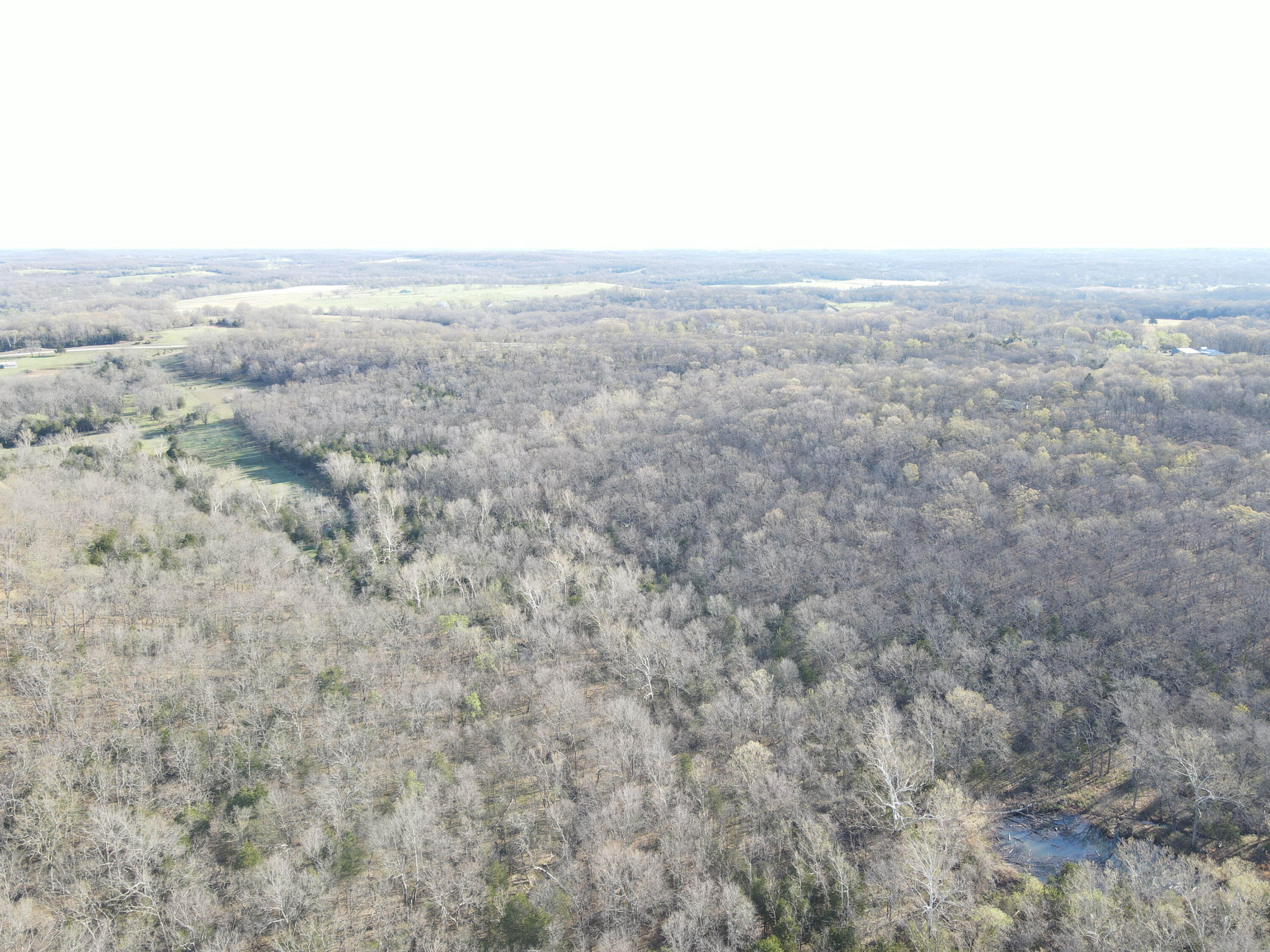 Photo 32 - Land for sale – 000 S Highway J   Stockton, MO