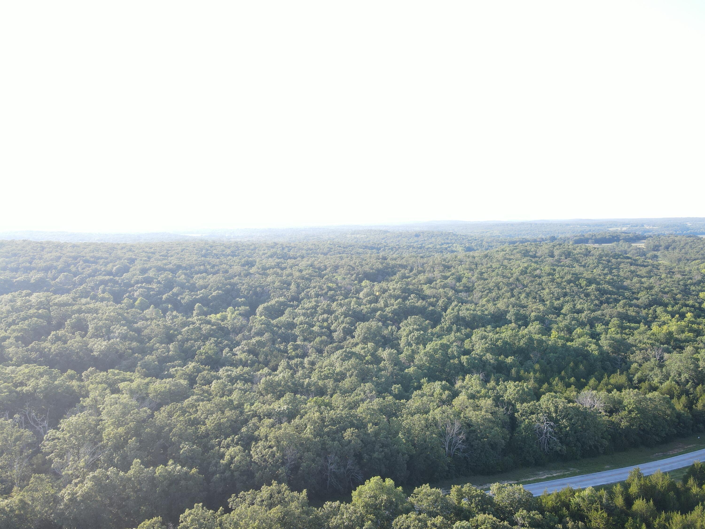 Photo 12 - Land for sale – 000 S Highway J   Stockton, MO