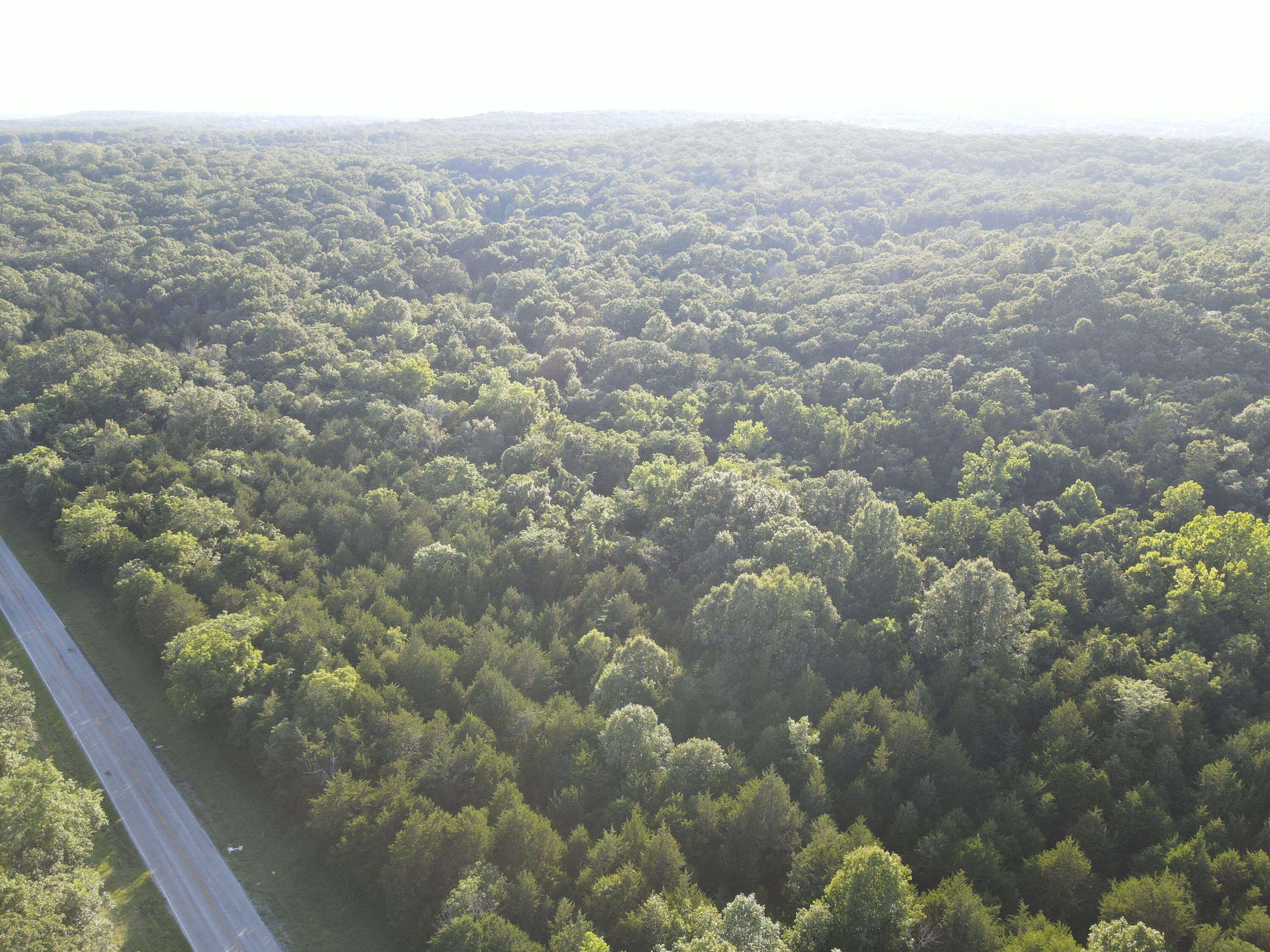 Photo 14 - Land for sale – 000 S Highway J   Stockton, MO