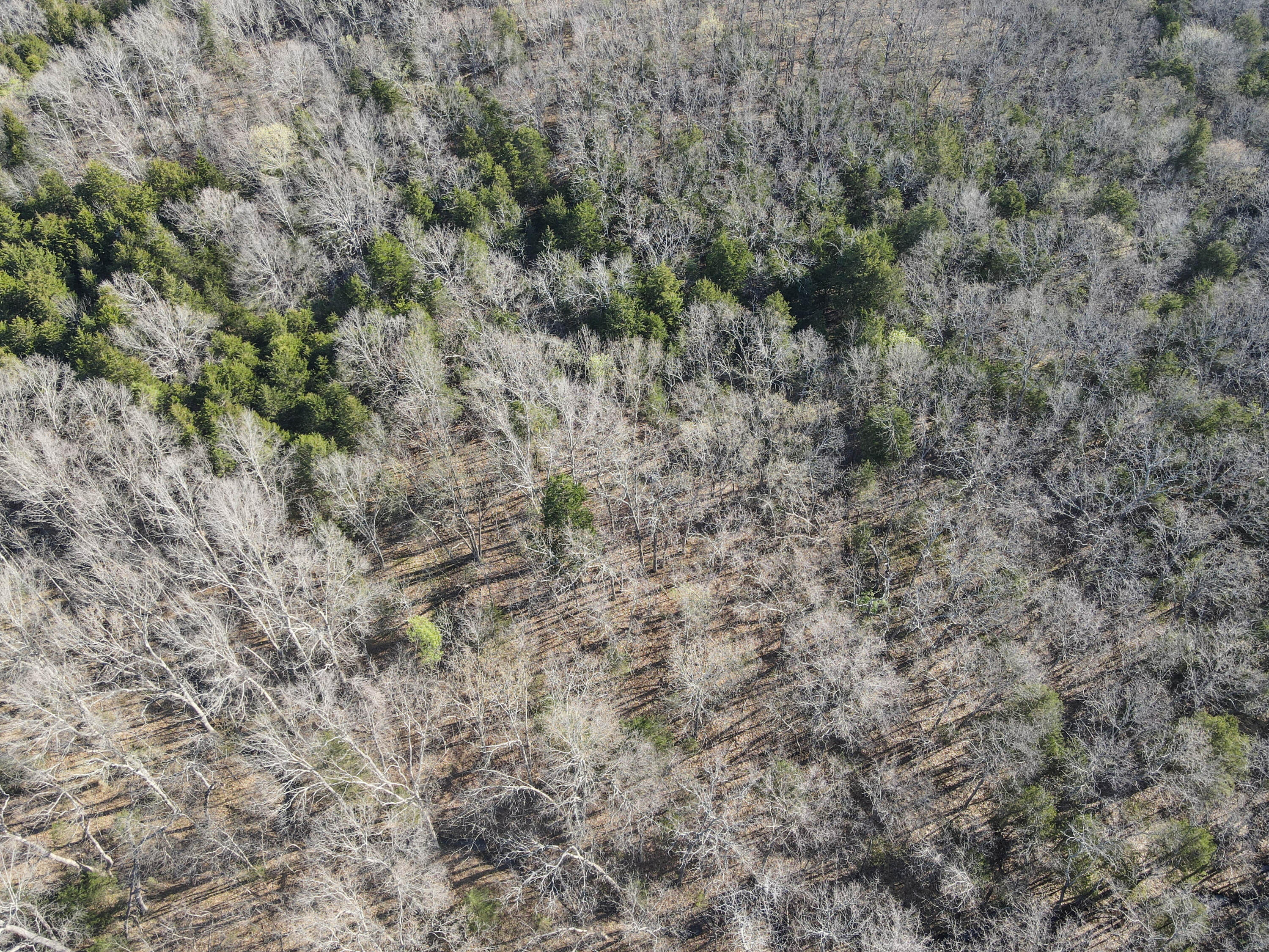 Photo 48 - Land for sale – 000 S Highway J   Stockton, MO
