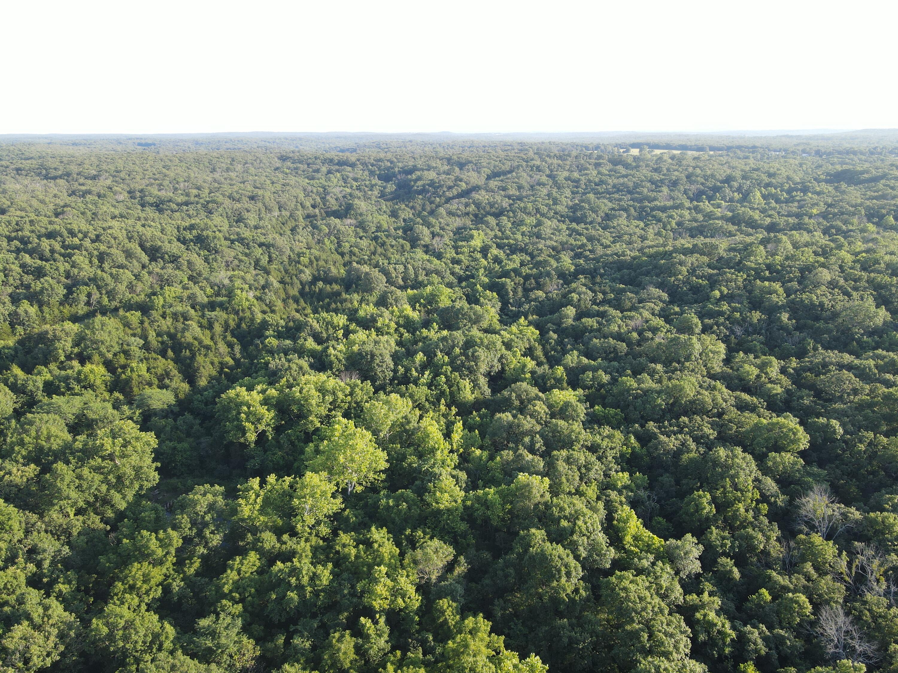 Photo 16 - Land for sale – 000 S Highway J   Stockton, MO