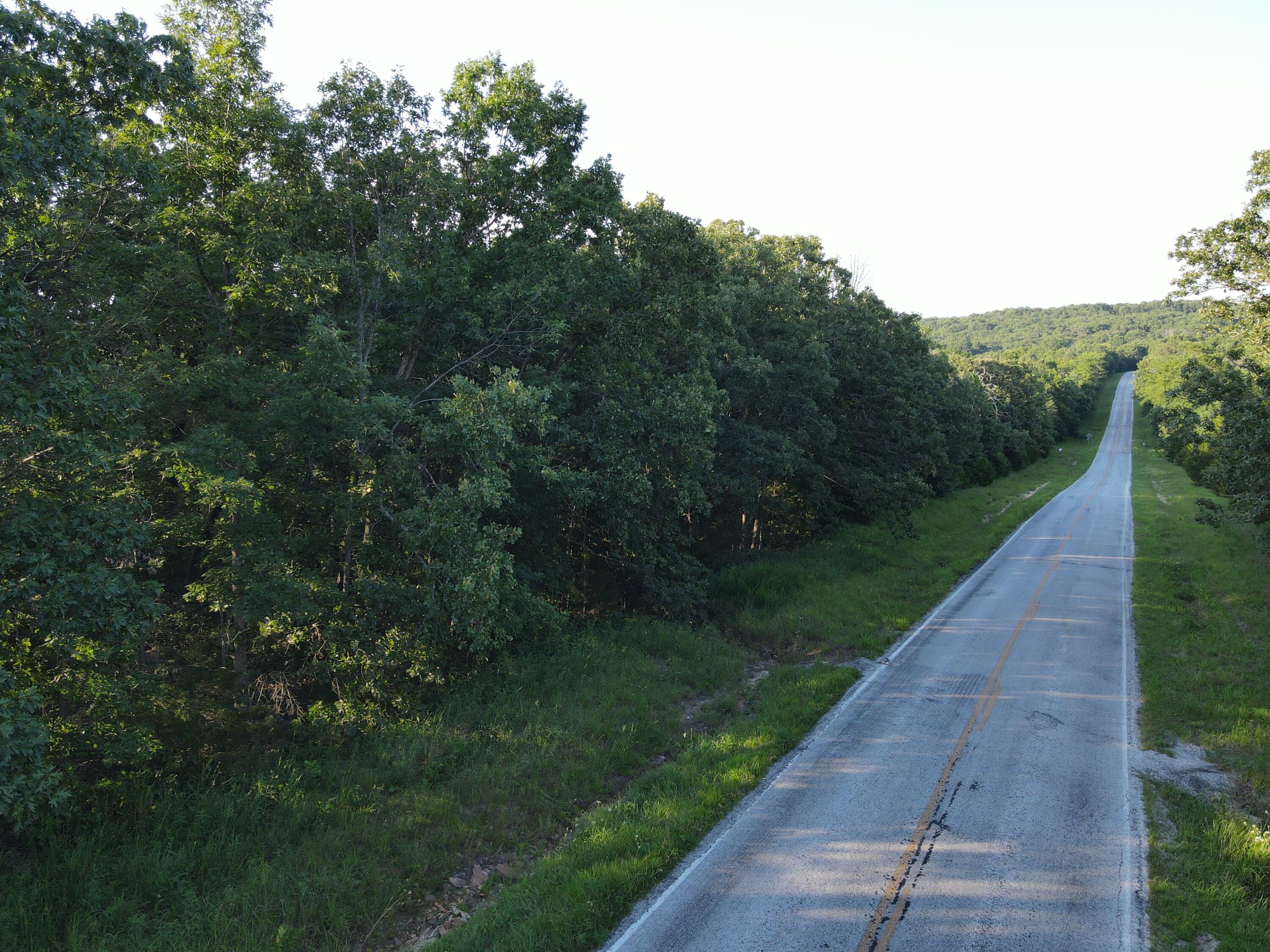 Photo 4 - Land for sale – 000 S Highway J   Stockton, MO