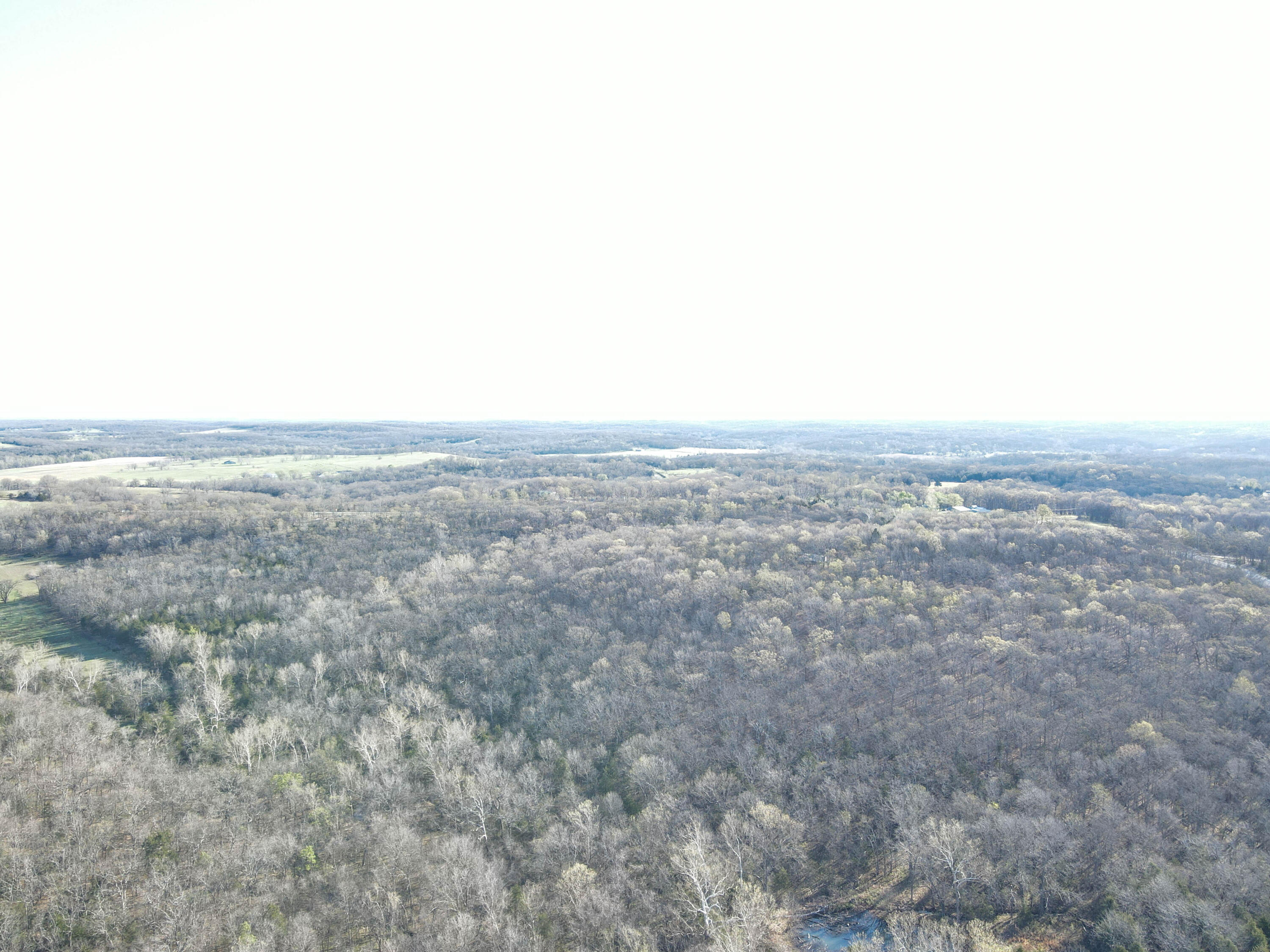 Photo 50 - Land for sale – 000 S Highway J   Stockton, MO