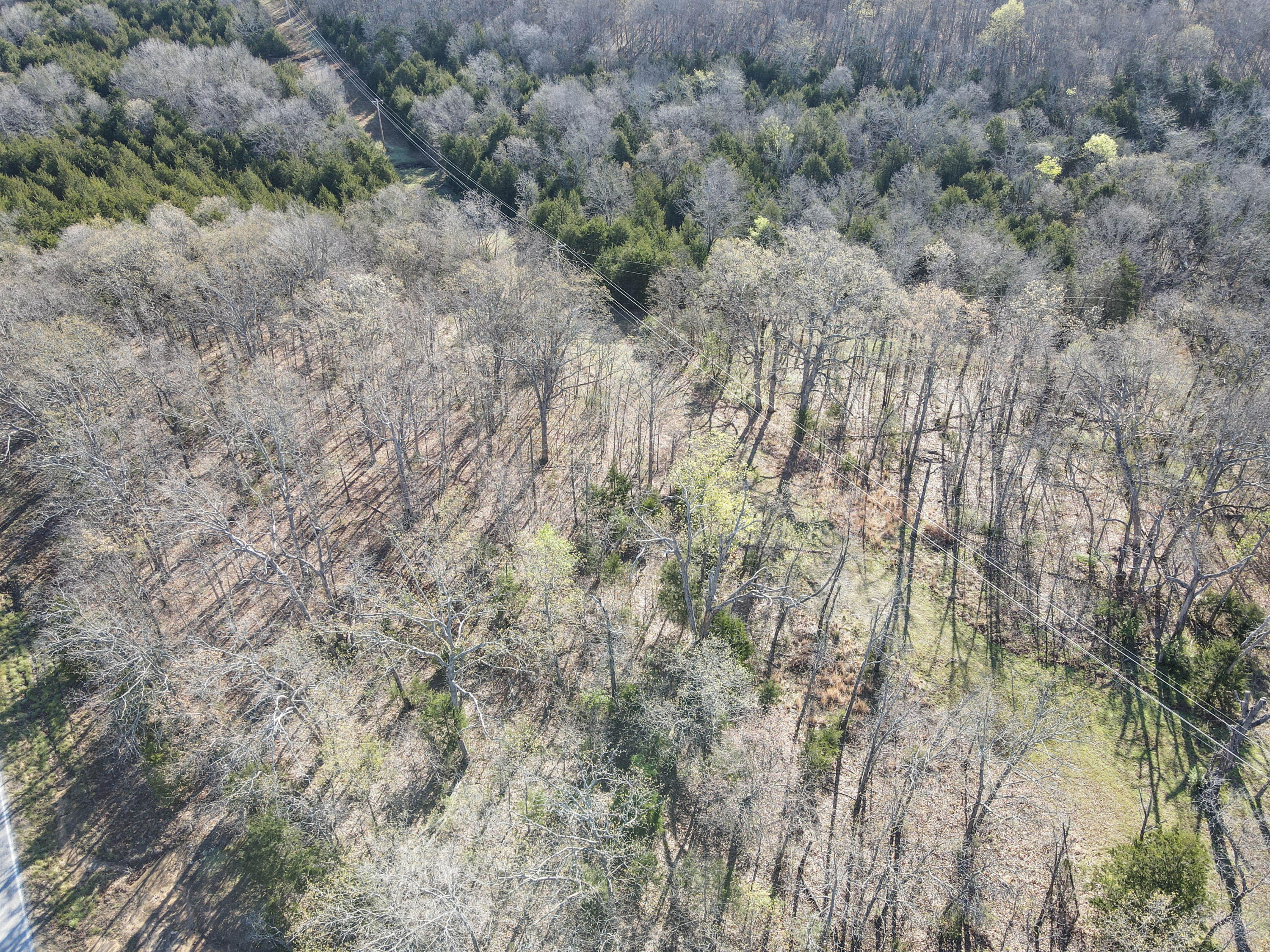 Photo 40 - Land for sale – 000 S Highway J   Stockton, MO