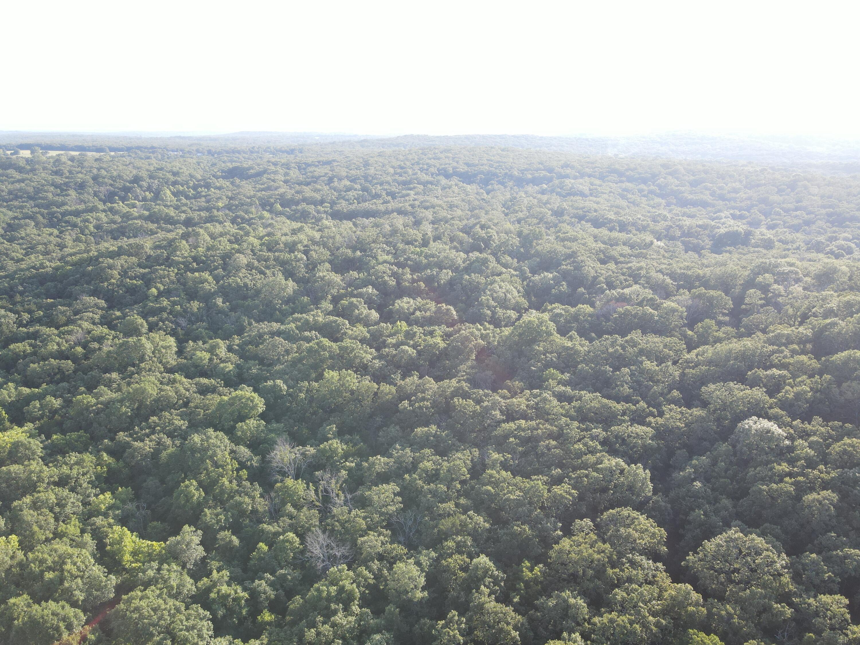 Photo 15 - Land for sale – 000 S Highway J   Stockton, MO