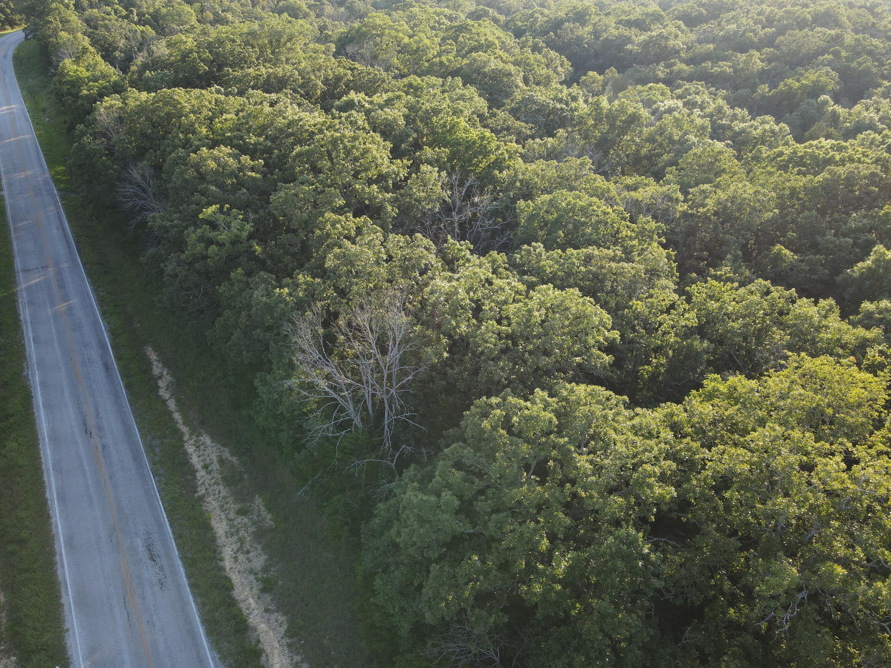 Photo 29 - Land for sale – 000 S Highway J   Stockton, MO
