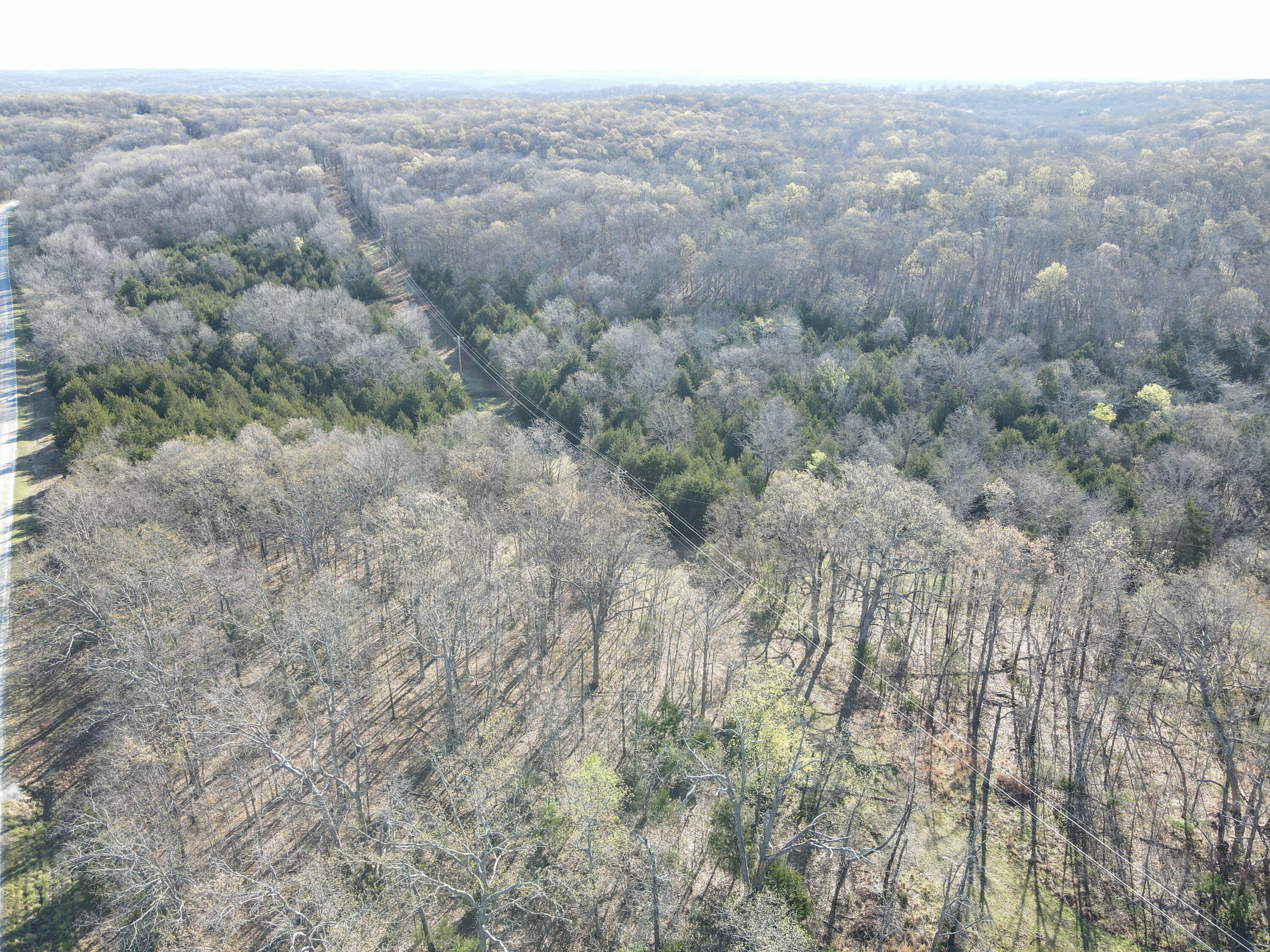 Photo 39 - Land for sale – 000 S Highway J   Stockton, MO