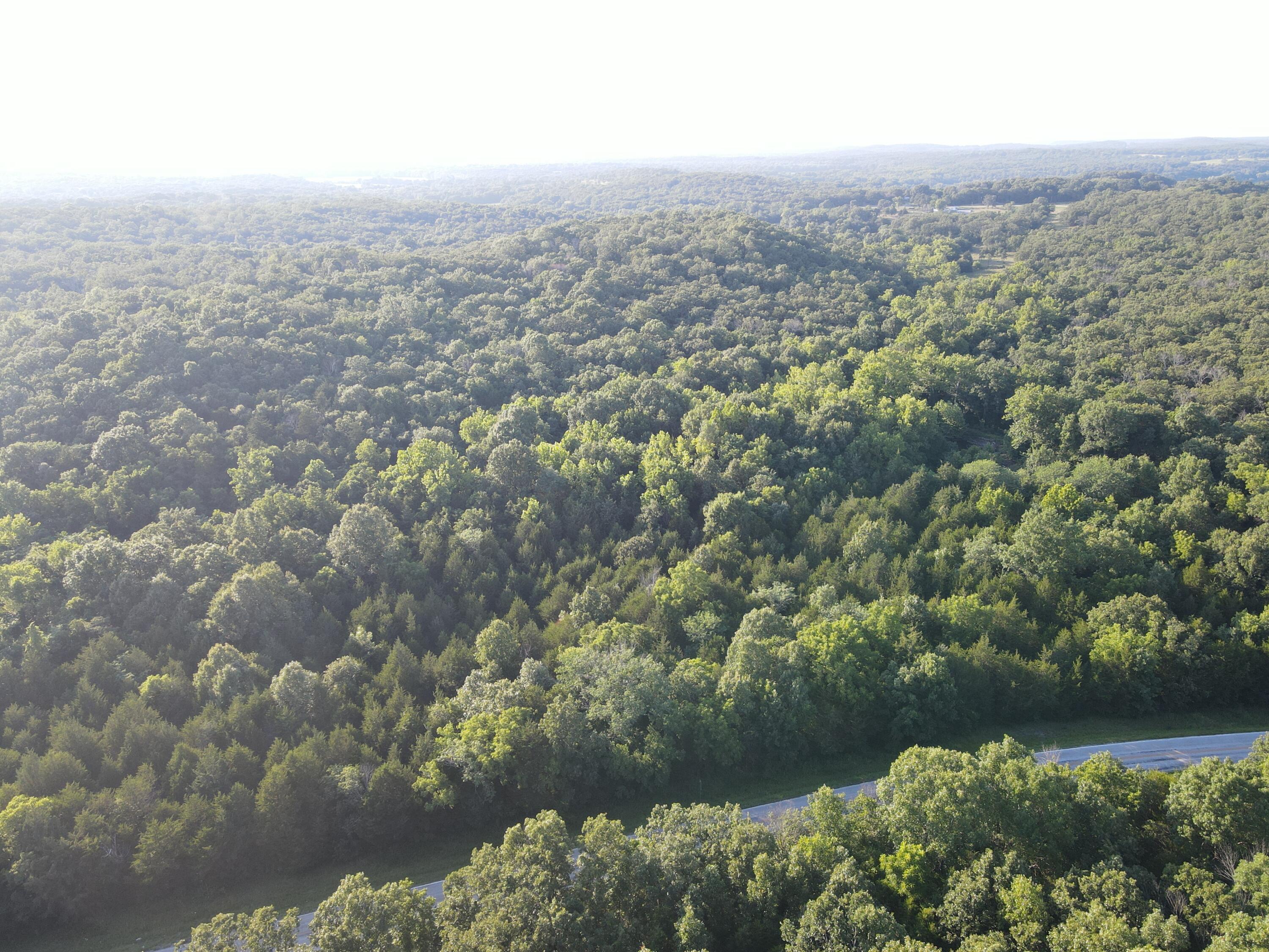 Photo 9 - Land for sale – 000 S Highway J   Stockton, MO