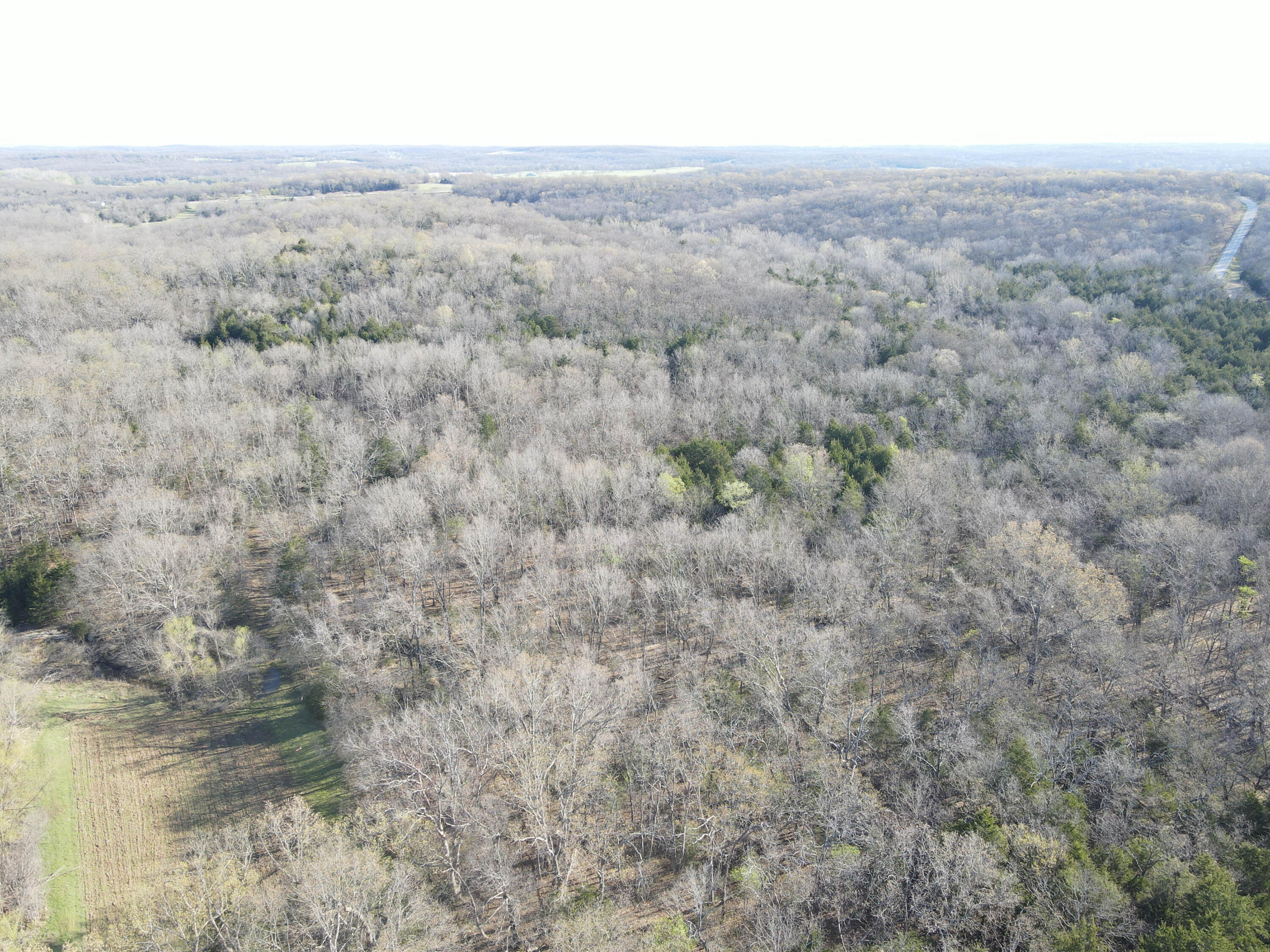 Photo 45 - Land for sale – 000 S Highway J   Stockton, MO