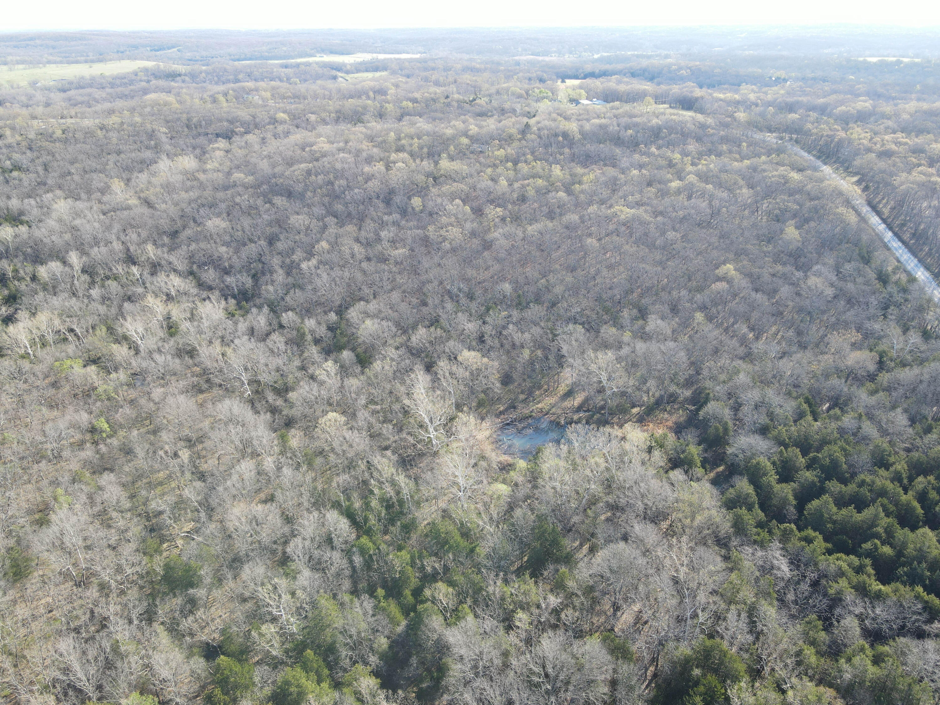 Photo 31 - Land for sale – 000 S Highway J   Stockton, MO