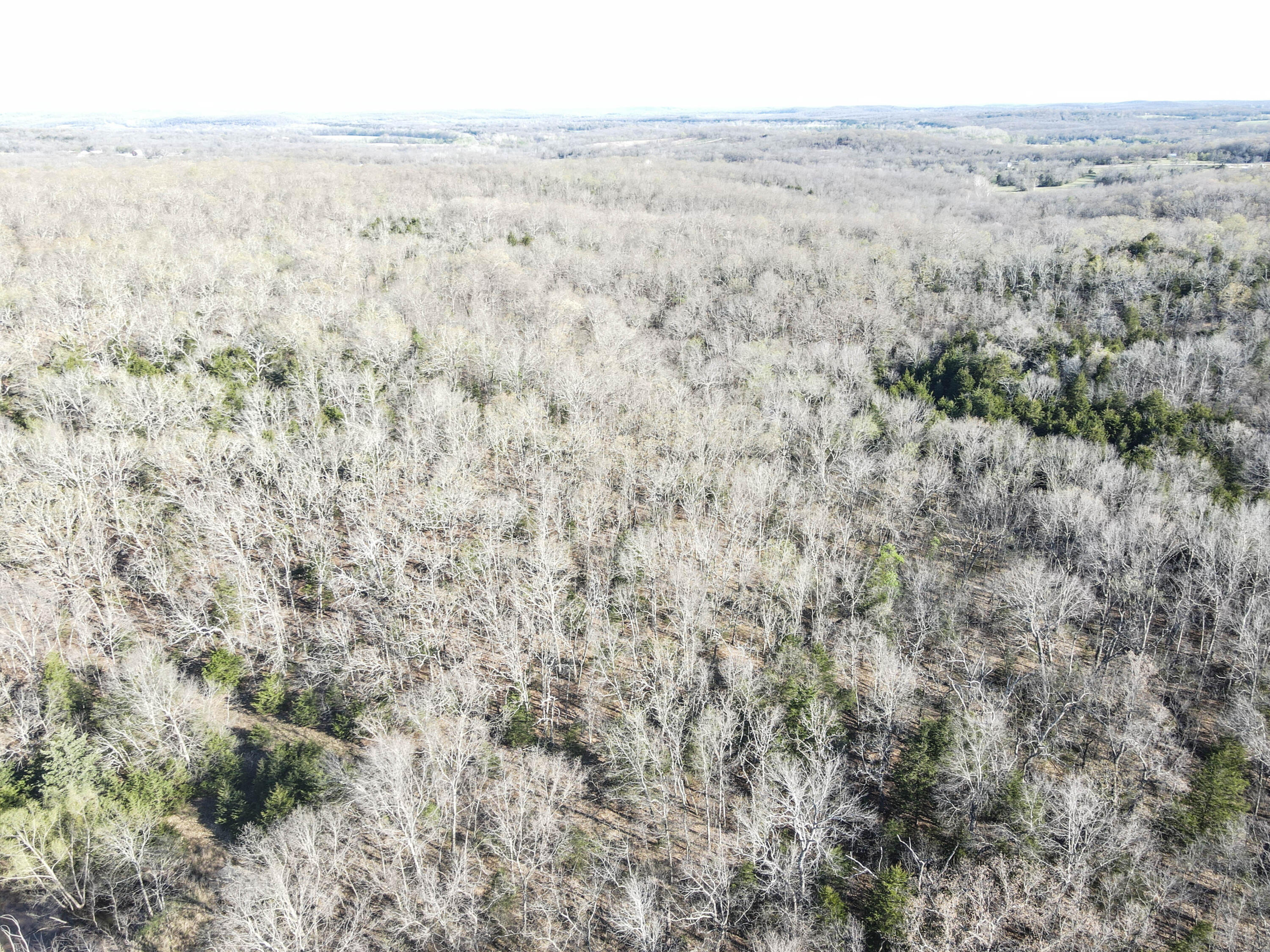 Photo 46 - Land for sale – 000 S Highway J   Stockton, MO