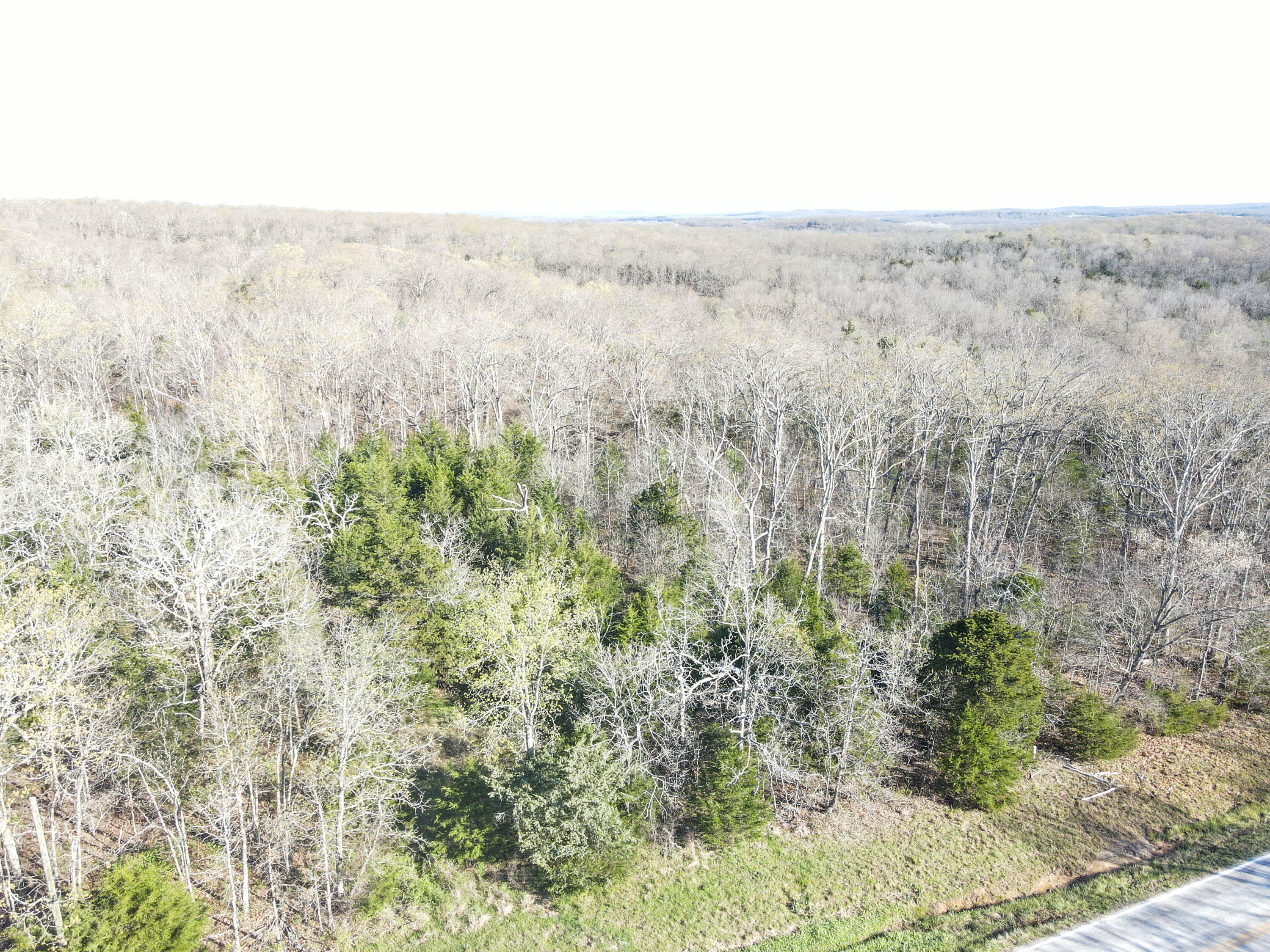 Photo 17 - Land for sale – 000 S Highway J   Stockton, MO