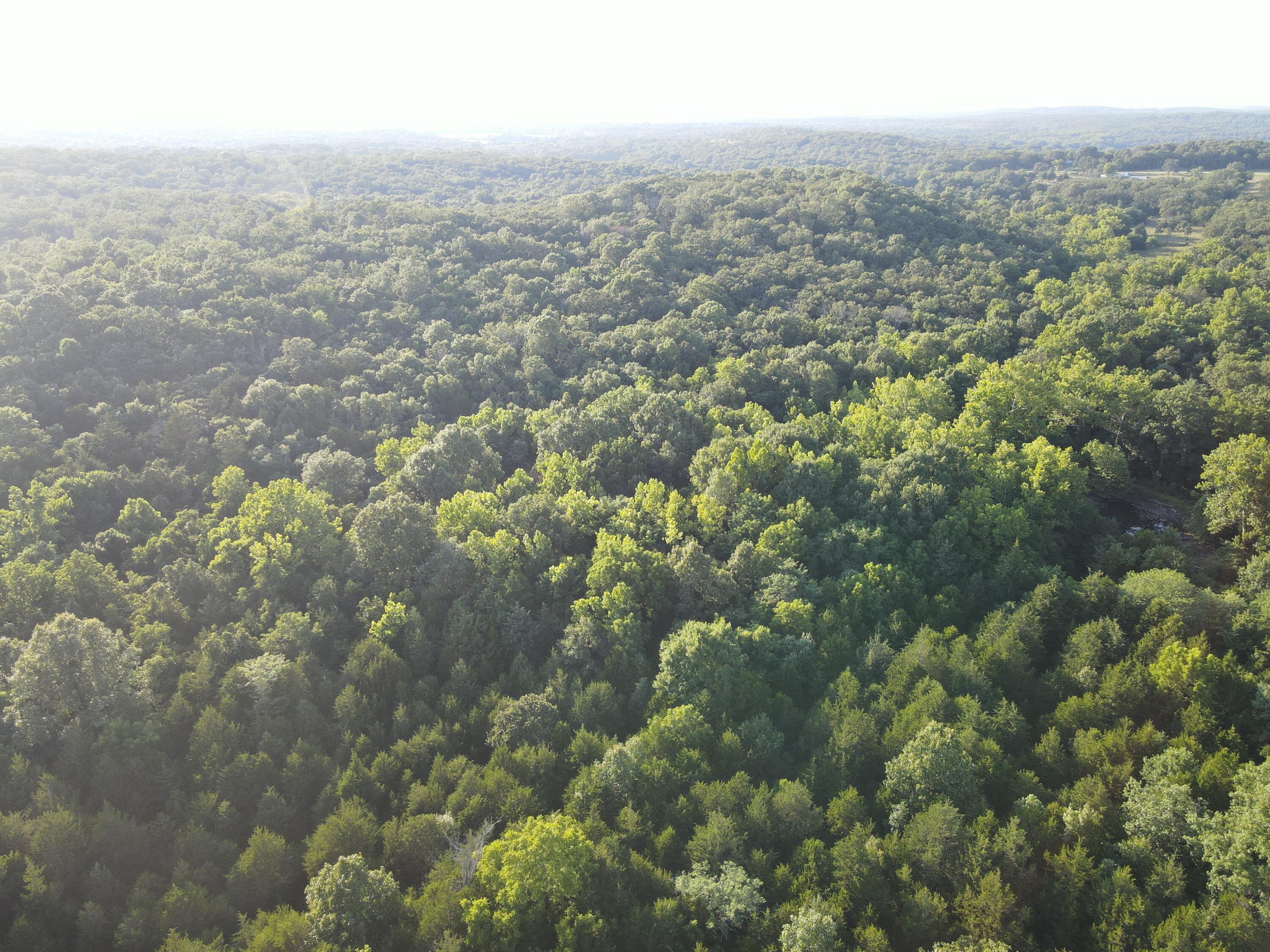 Photo 6 - Land for sale – 000 S Highway J   Stockton, MO