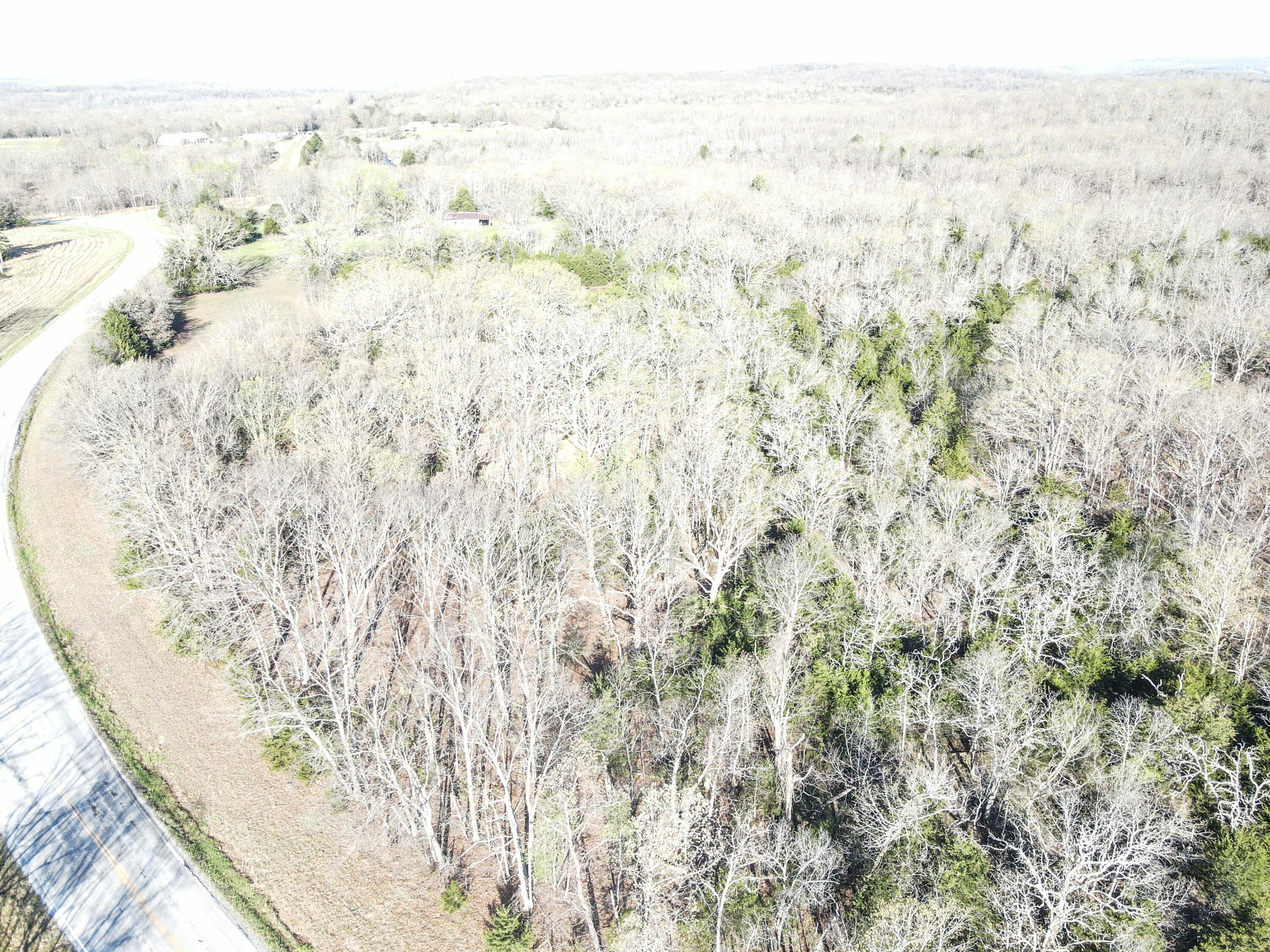 Photo 37 - Land for sale – 000 S Highway J   Stockton, MO