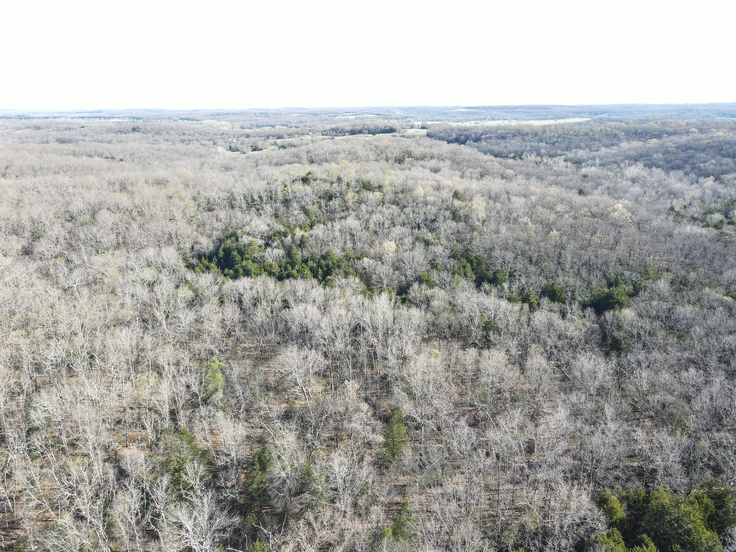 Photo 47 - Land for sale – 000 S Highway J   Stockton, MO