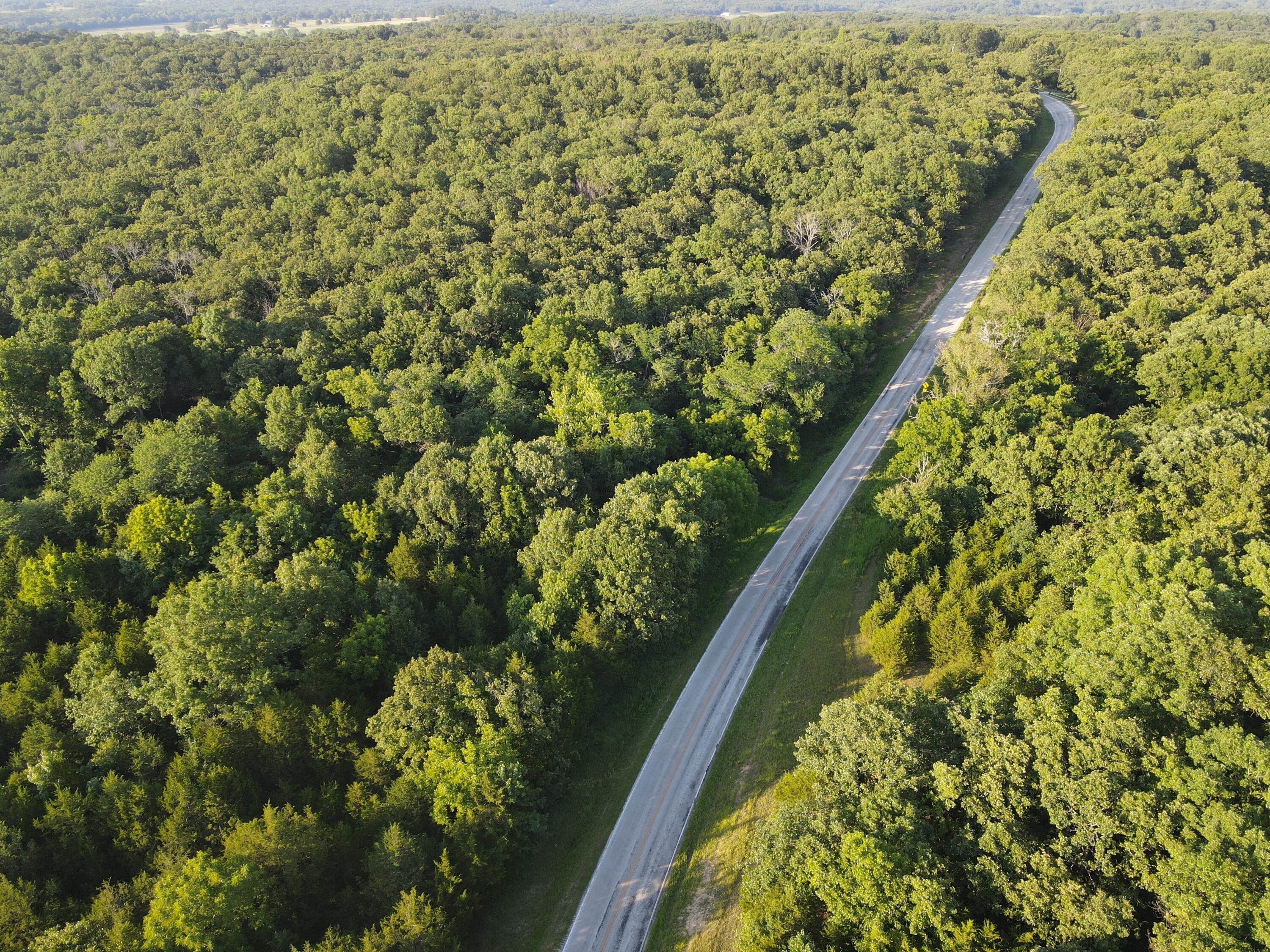 Photo 7 - Land for sale – 000 S Highway J   Stockton, MO