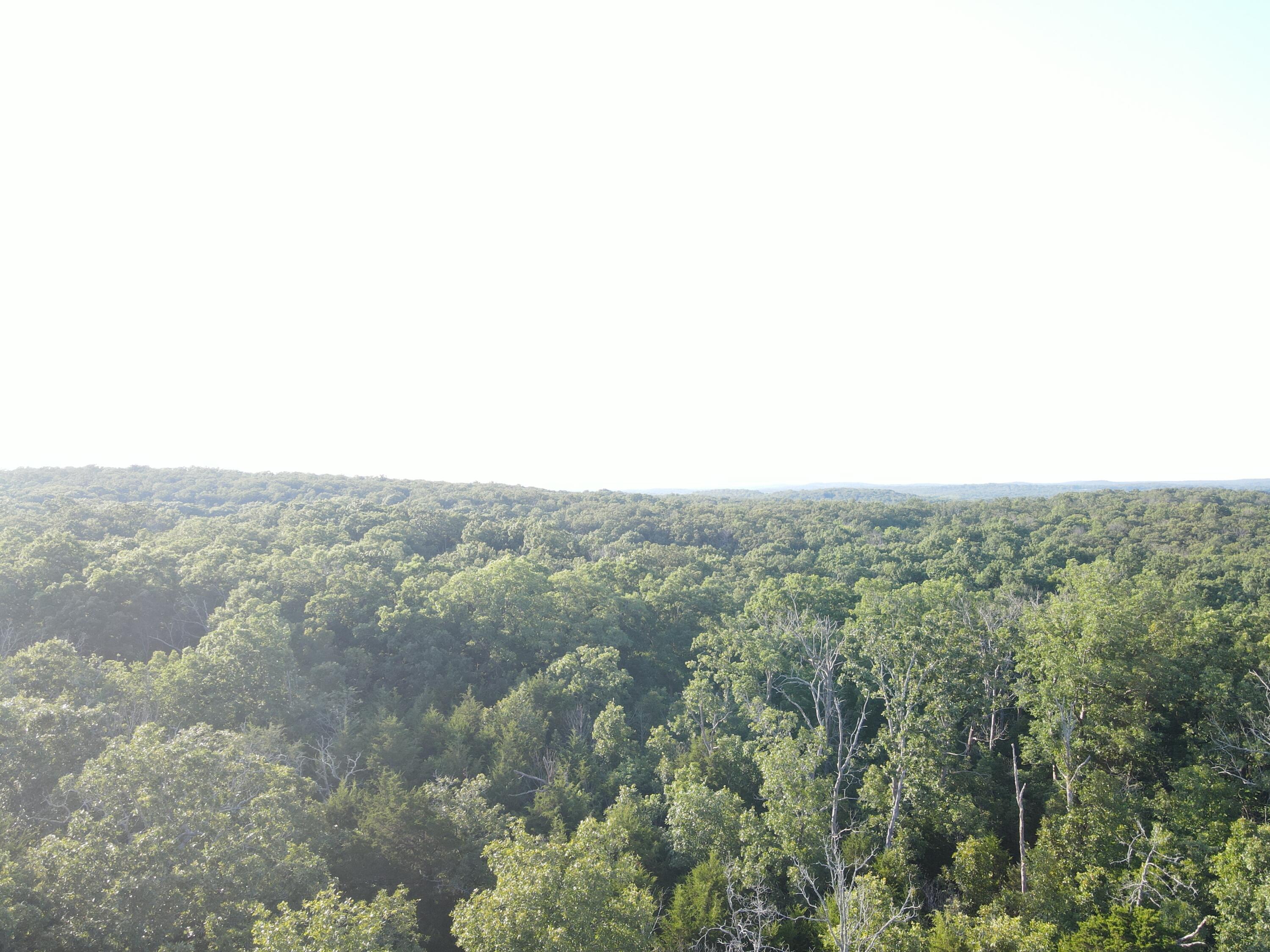 Photo 25 - Land for sale – 000 S Highway J   Stockton, MO