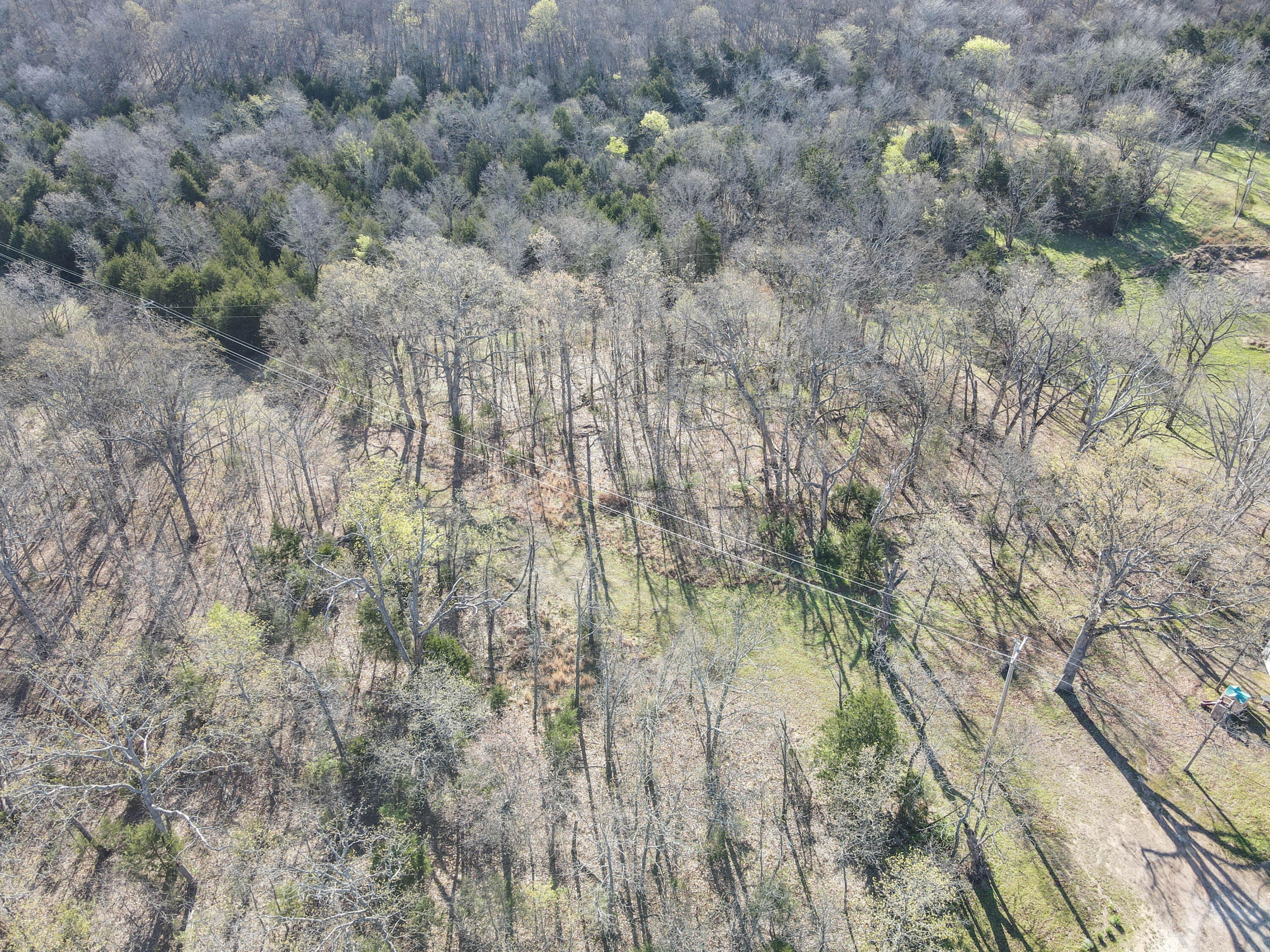 Photo 41 - Land for sale – 000 S Highway J   Stockton, MO