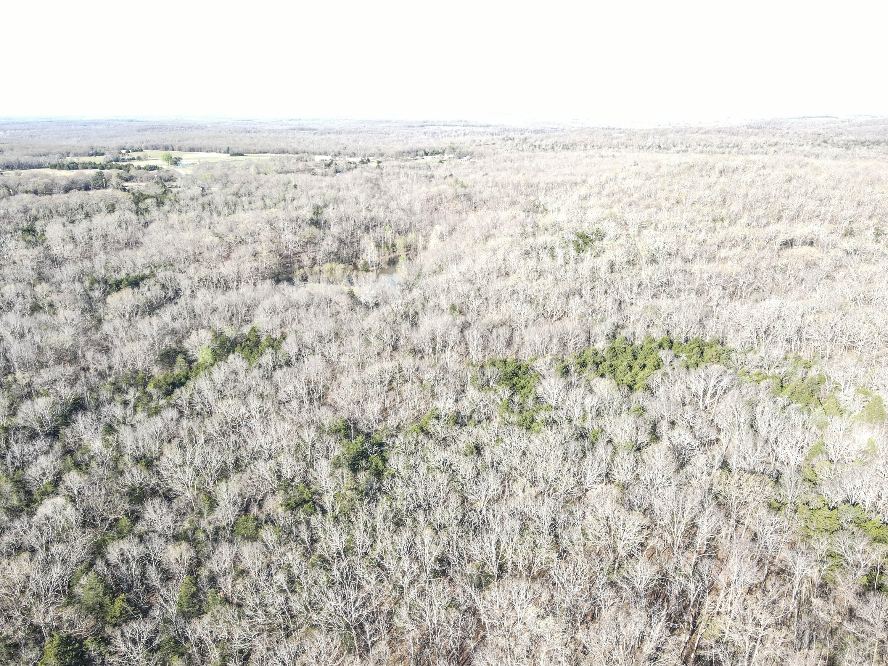 Photo 35 - Land for sale – 000 S Highway J   Stockton, MO