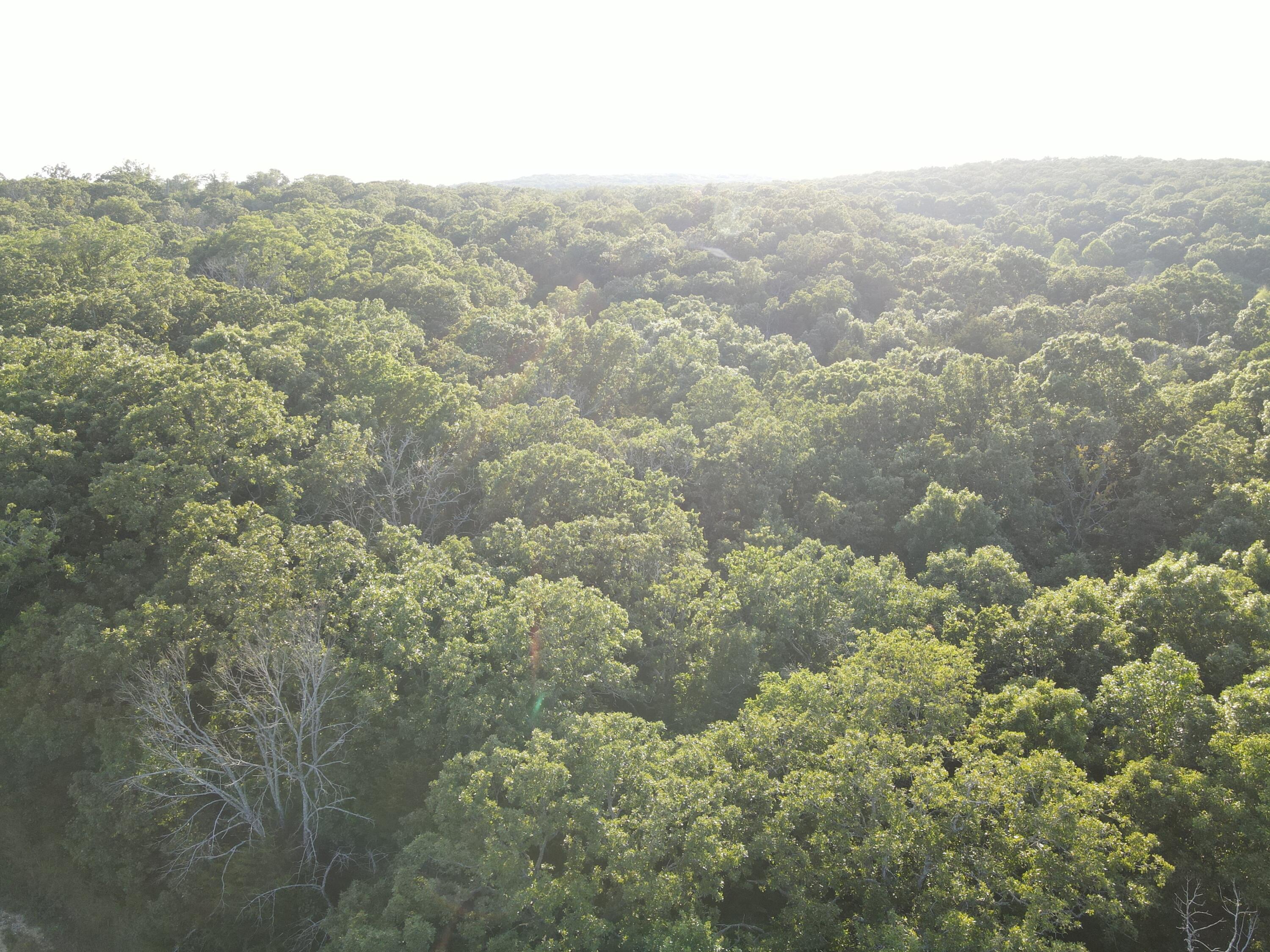 Photo 23 - Land for sale – 000 S Highway J   Stockton, MO