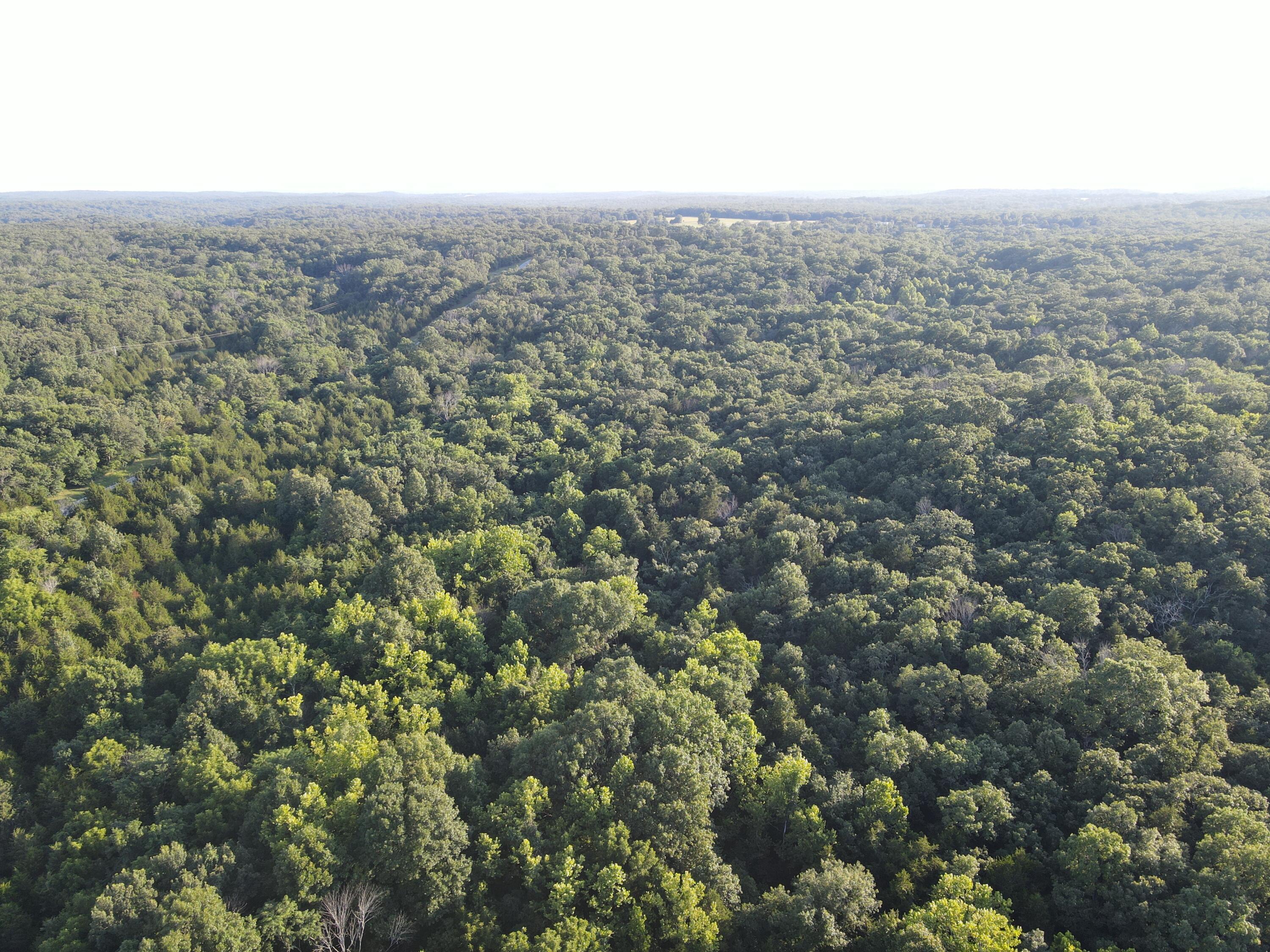 Photo 18 - Land for sale – 000 S Highway J   Stockton, MO