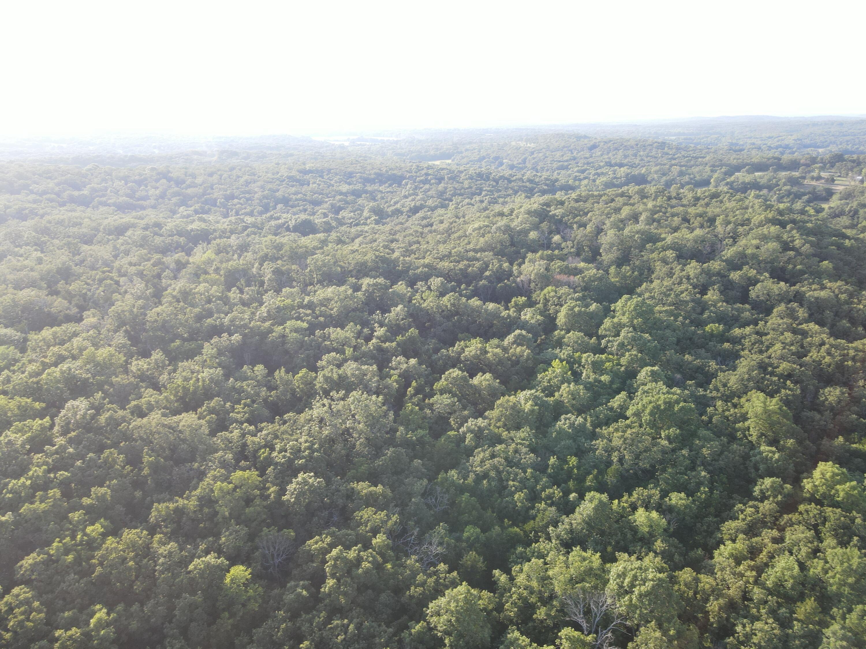 Photo 20 - Land for sale – 000 S Highway J   Stockton, MO