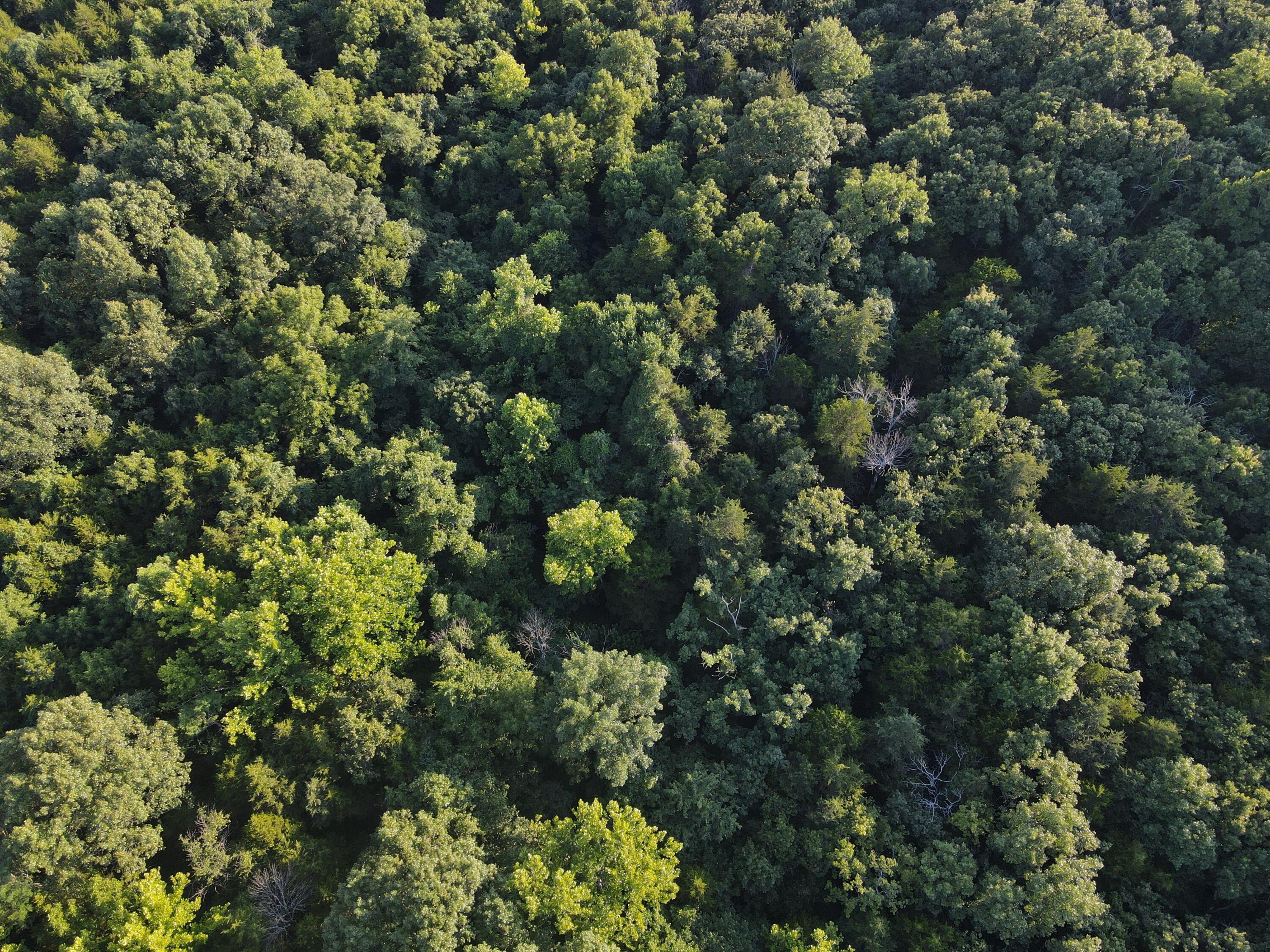 Photo 19 - Land for sale – 000 S Highway J   Stockton, MO
