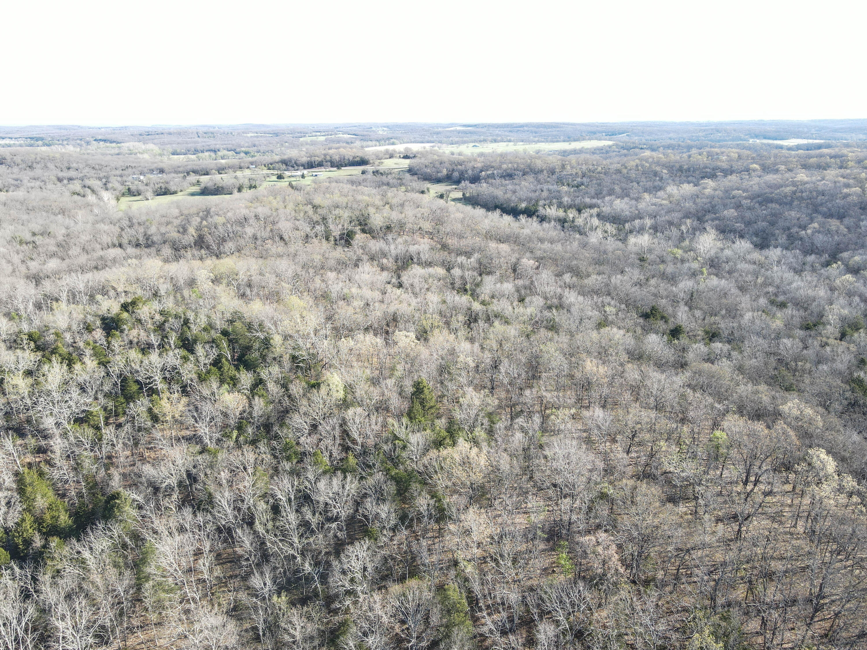 Photo 30 - Land for sale – 000 S Highway J   Stockton, MO