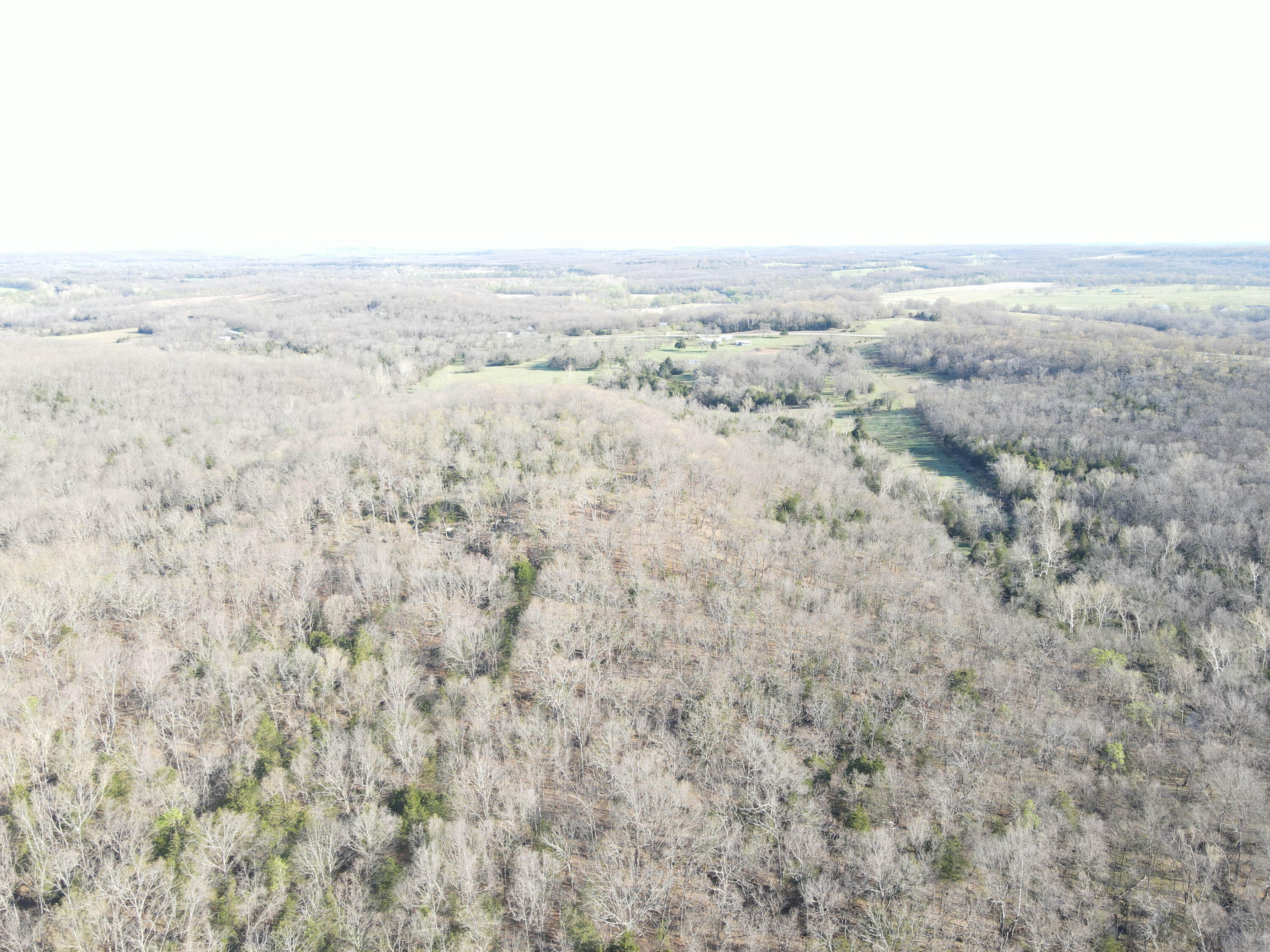 Photo 33 - Land for sale – 000 S Highway J   Stockton, MO