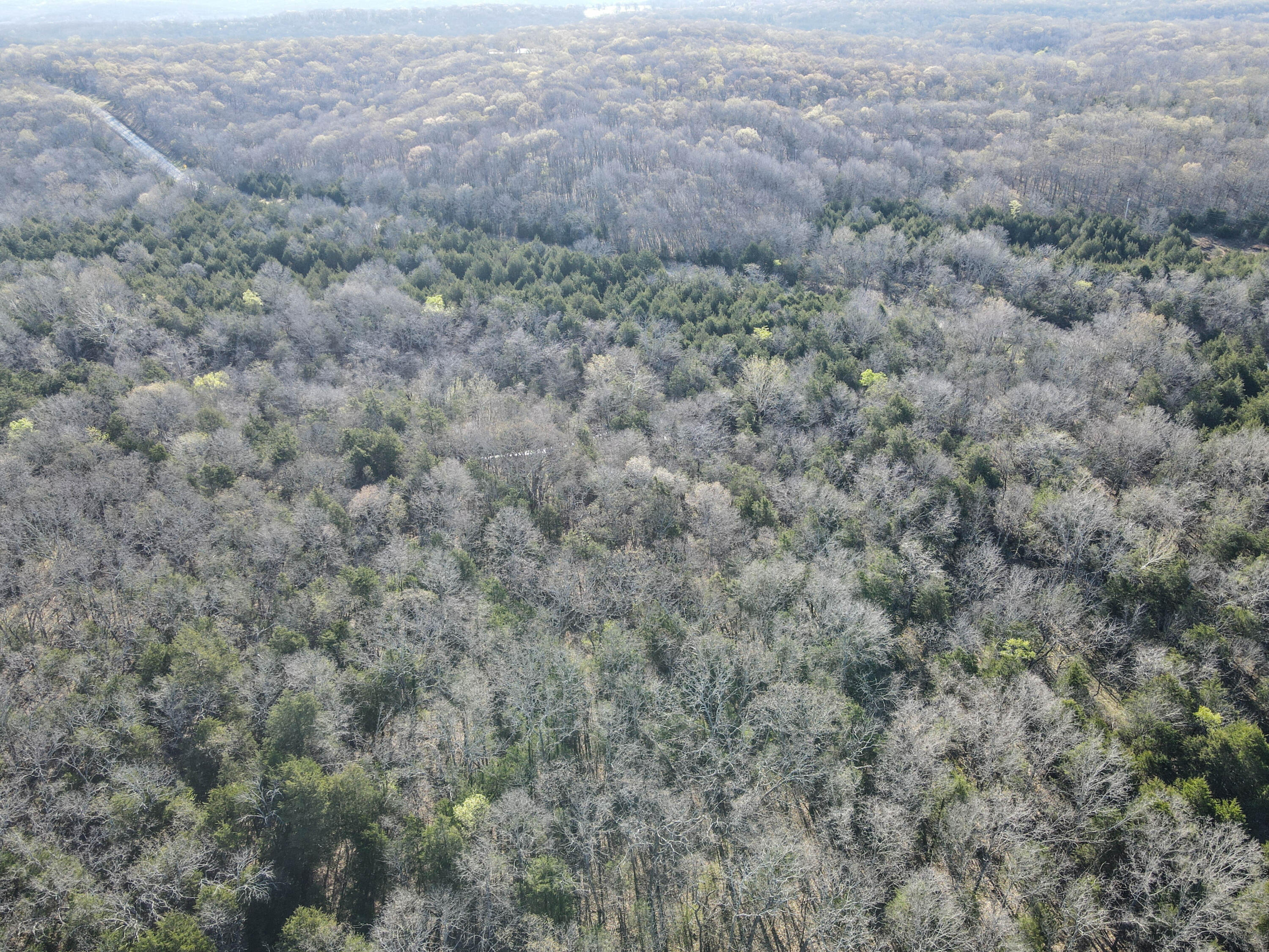 Photo 28 - Land for sale – 000 S Highway J   Stockton, MO