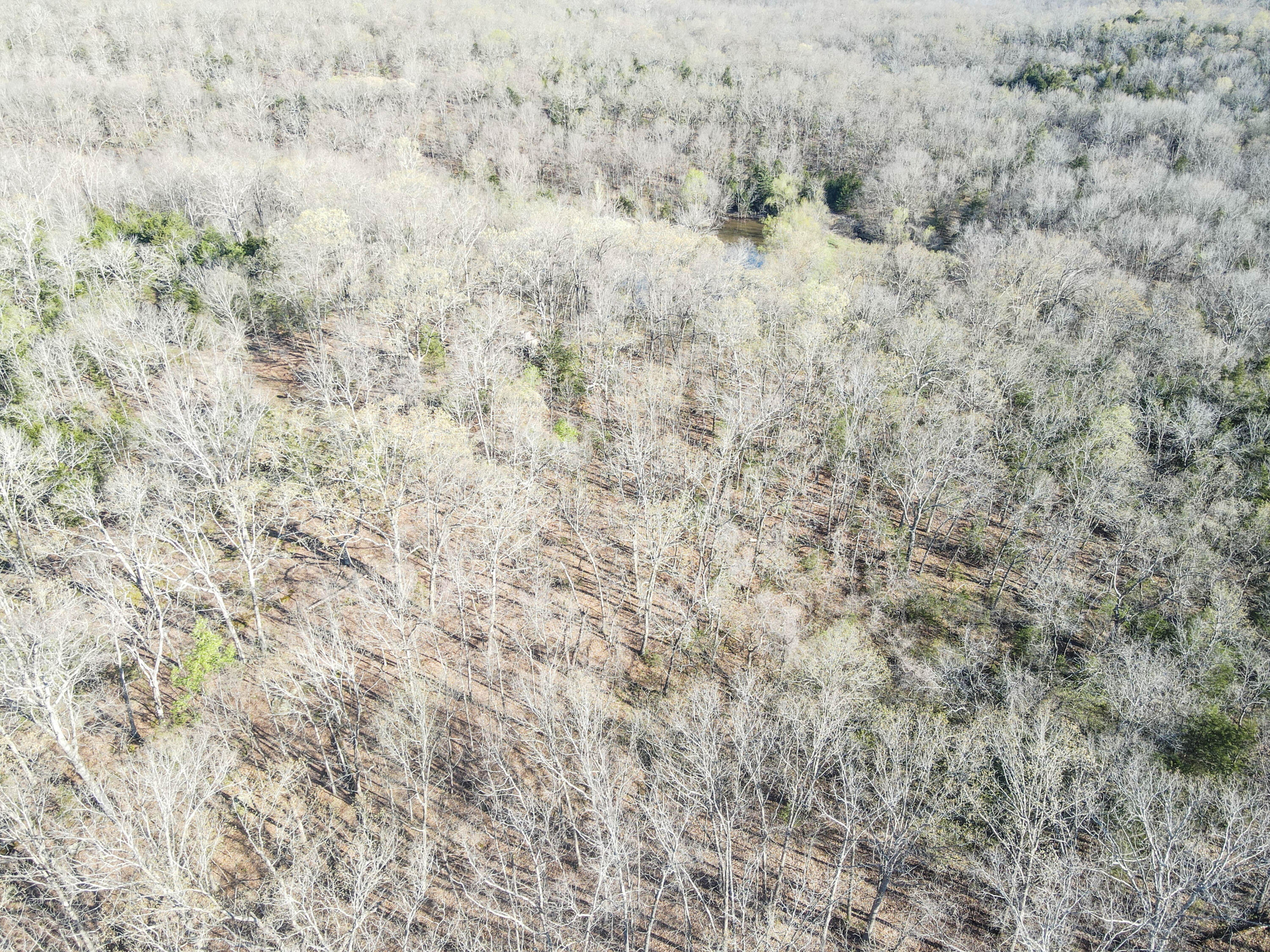 Photo 43 - Land for sale – 000 S Highway J   Stockton, MO