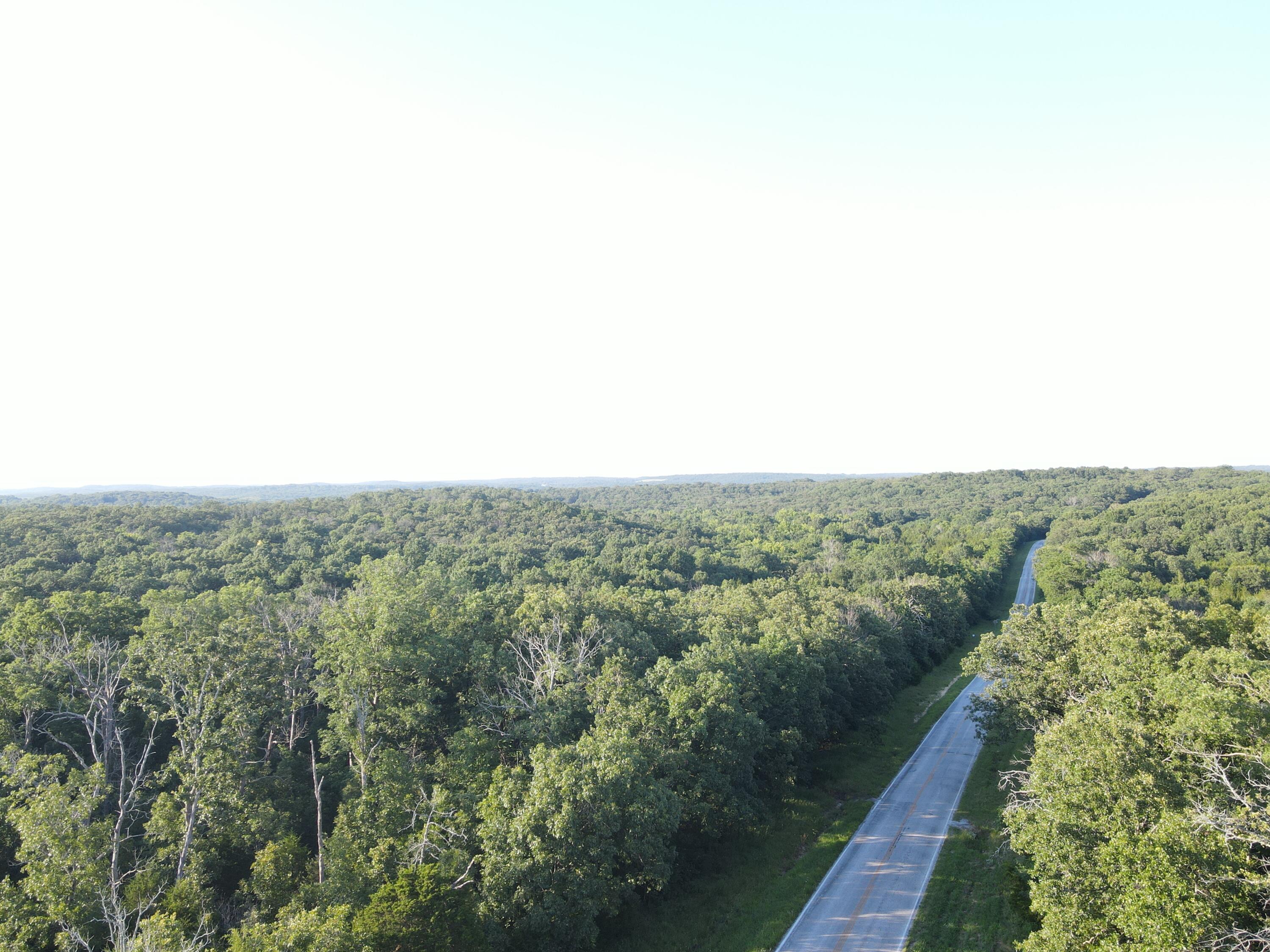 Photo 3 - Land for sale – 000 S Highway J   Stockton, MO