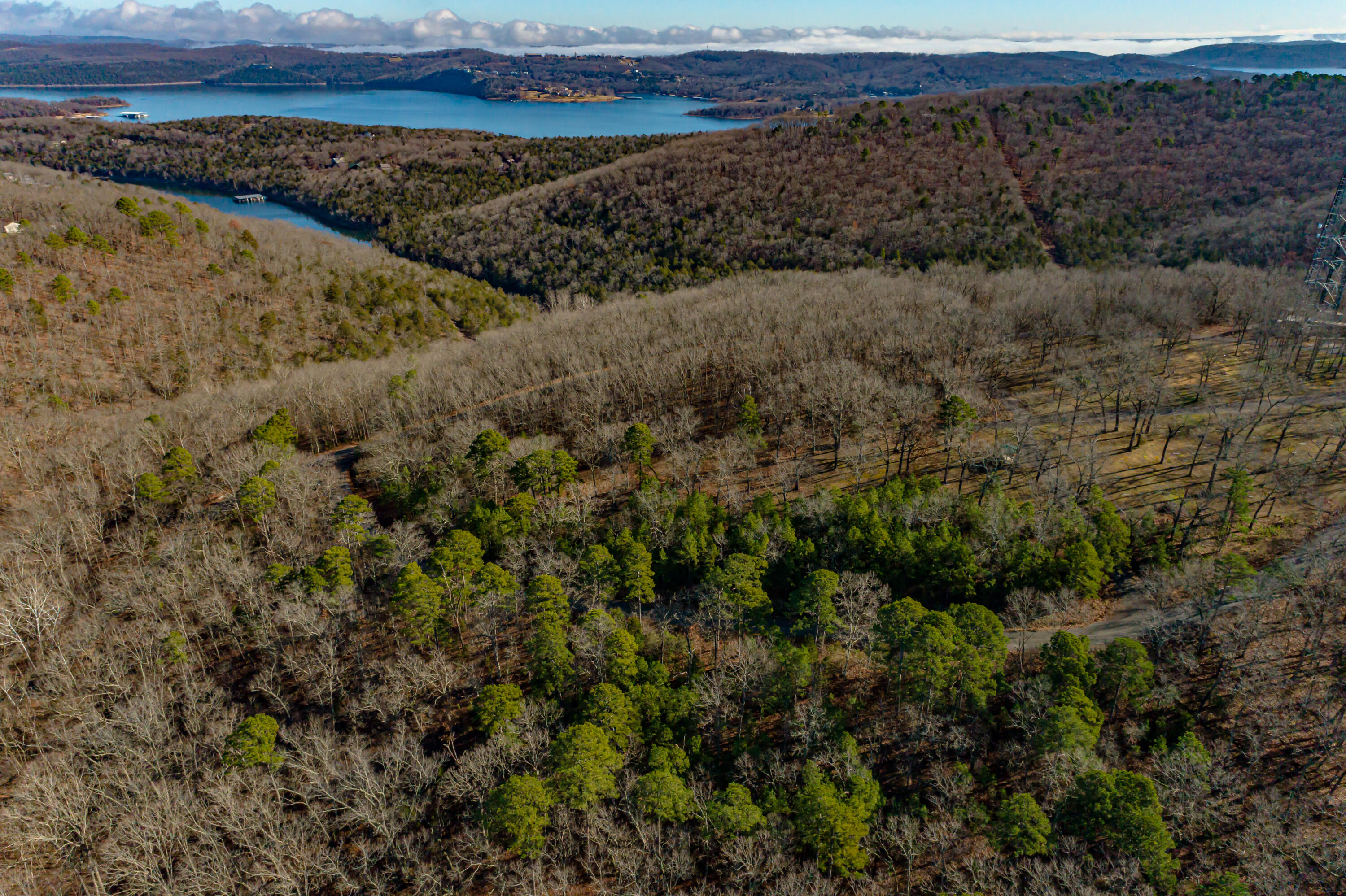 Photo 13 - Land for sale – 0000  Cassie Drive   Lampe, MO