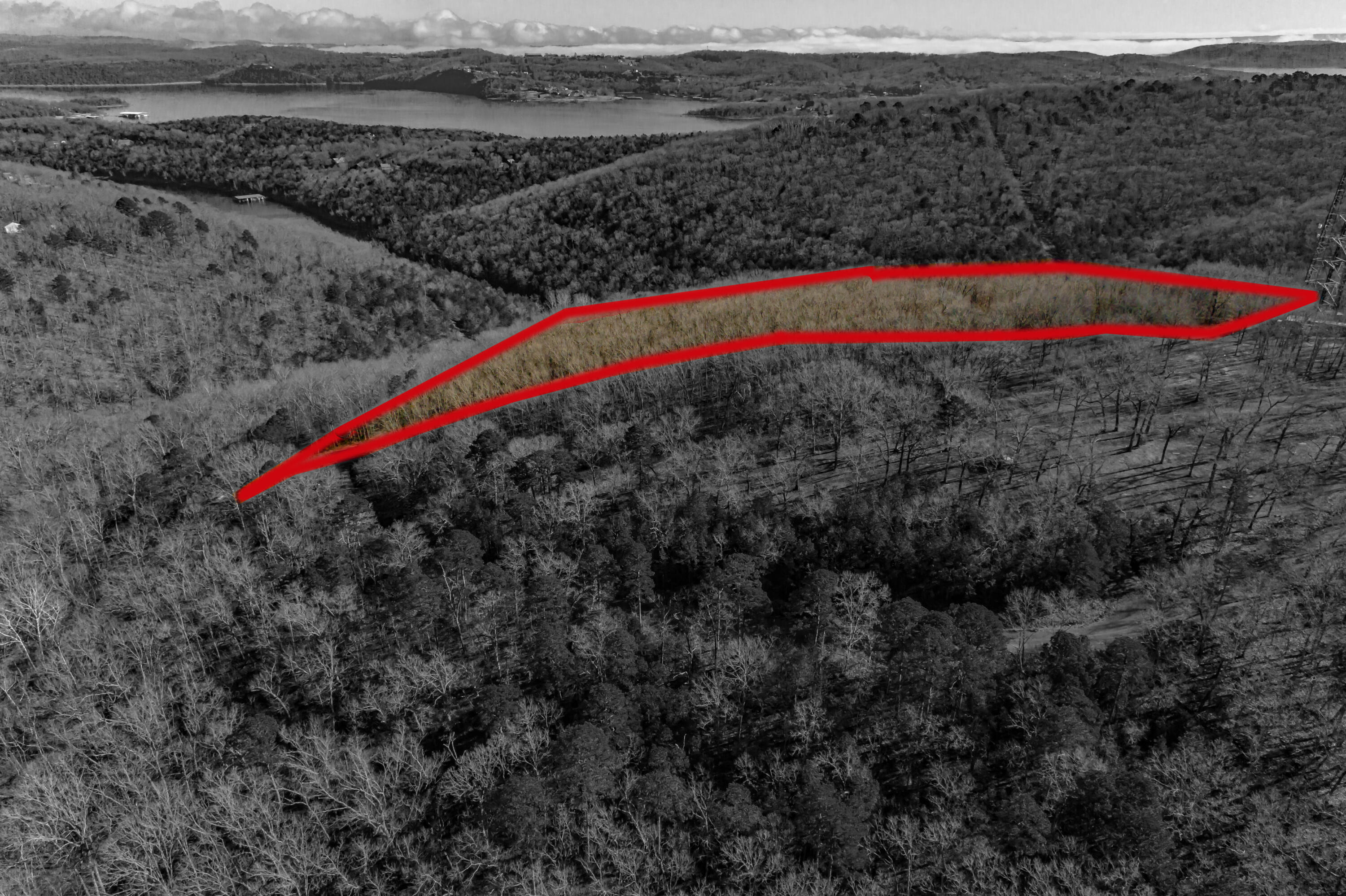 Photo 12 - Land for sale – 0000  Cassie Drive   Lampe, MO