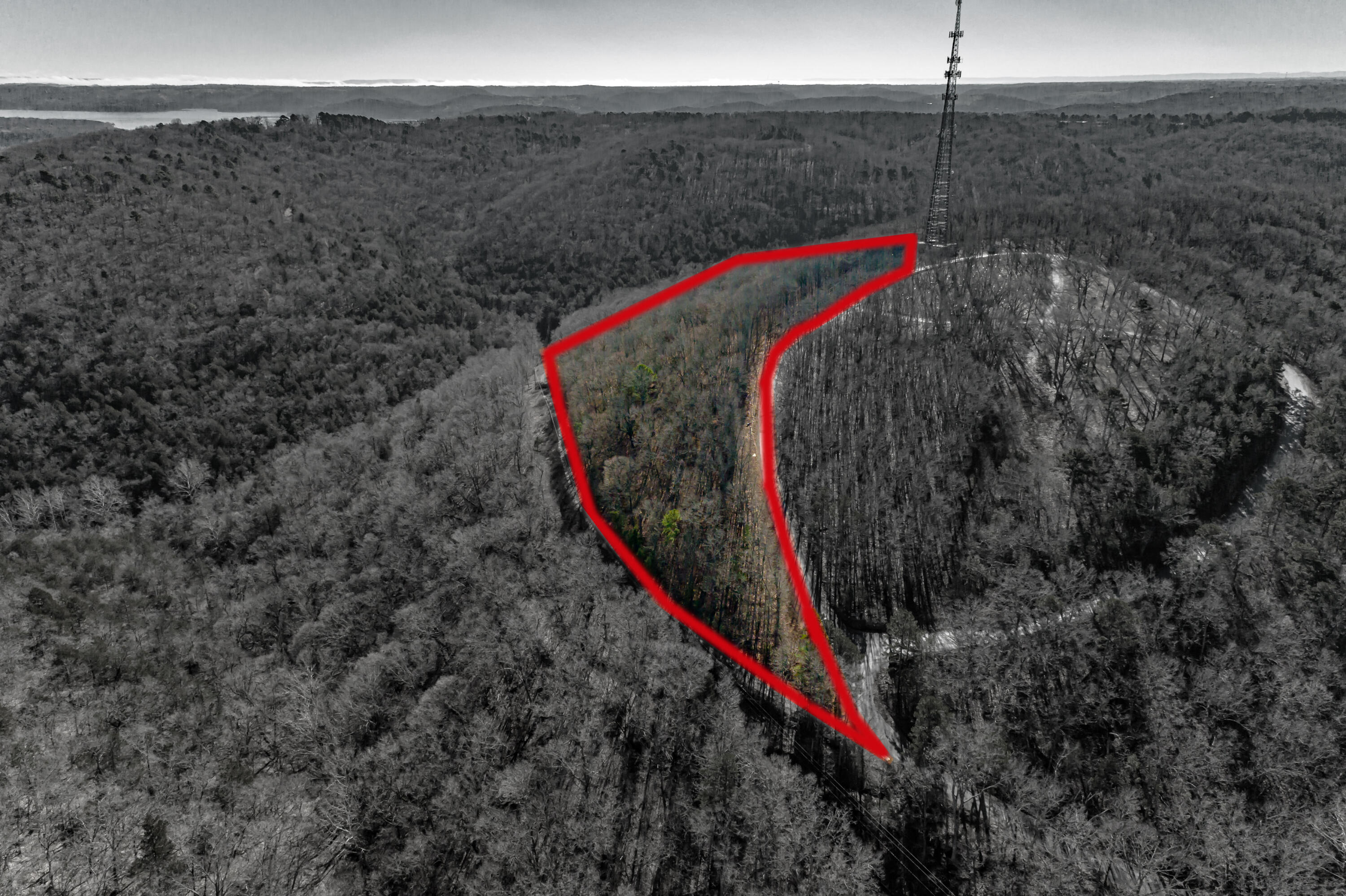Photo 10 - Land for sale – 0000  Cassie Drive   Lampe, MO