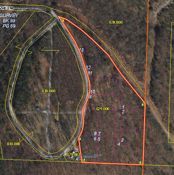 Photo 5 - Land for sale – 0000  Cassie Drive   Lampe, MO