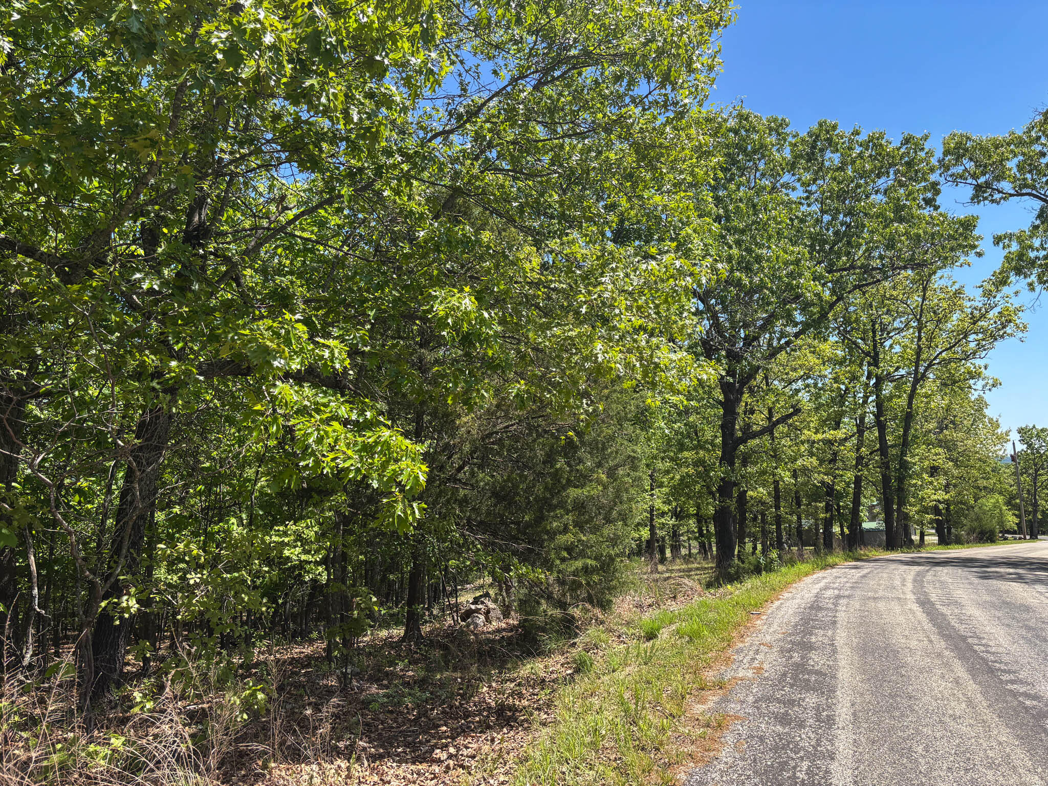 Photo 39 - Residential for sale – 445  Pine Hollow Road  Protem, MO
