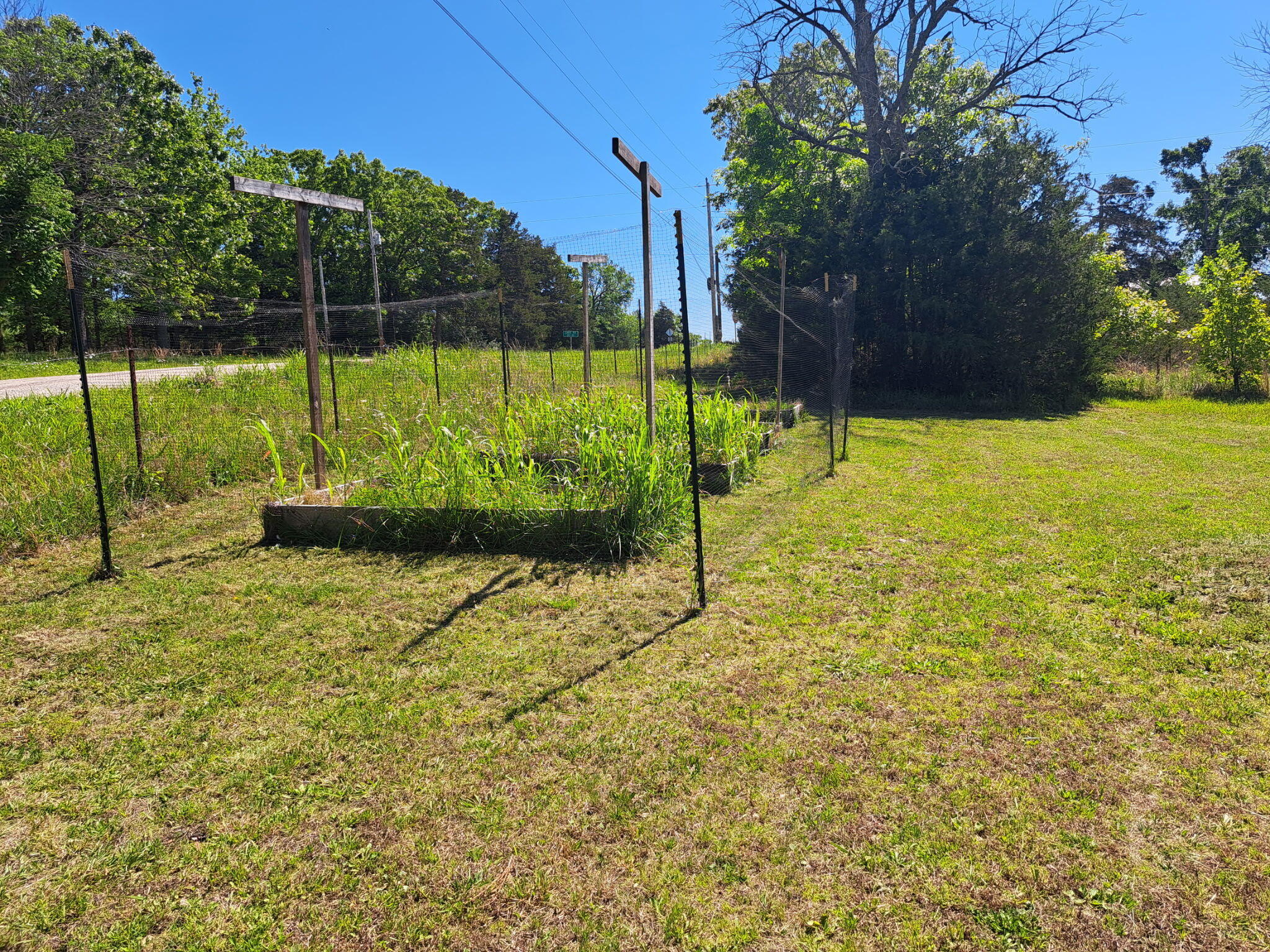Photo 43 - Residential for sale – 2916  County Road 662   Theodosia, MO