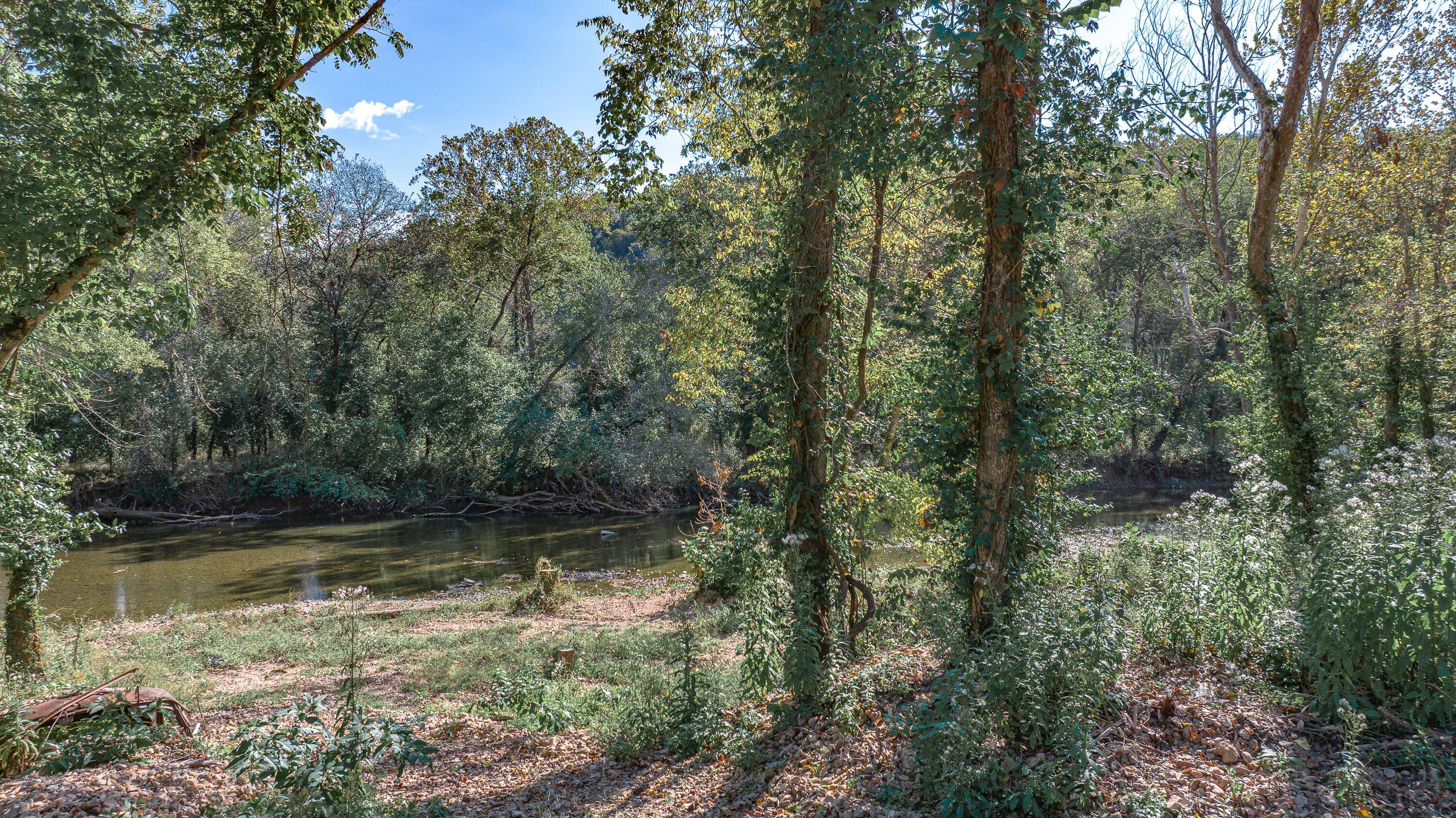 Photo 52 - Land for sale – 101  Water Street  Lanagan, MO