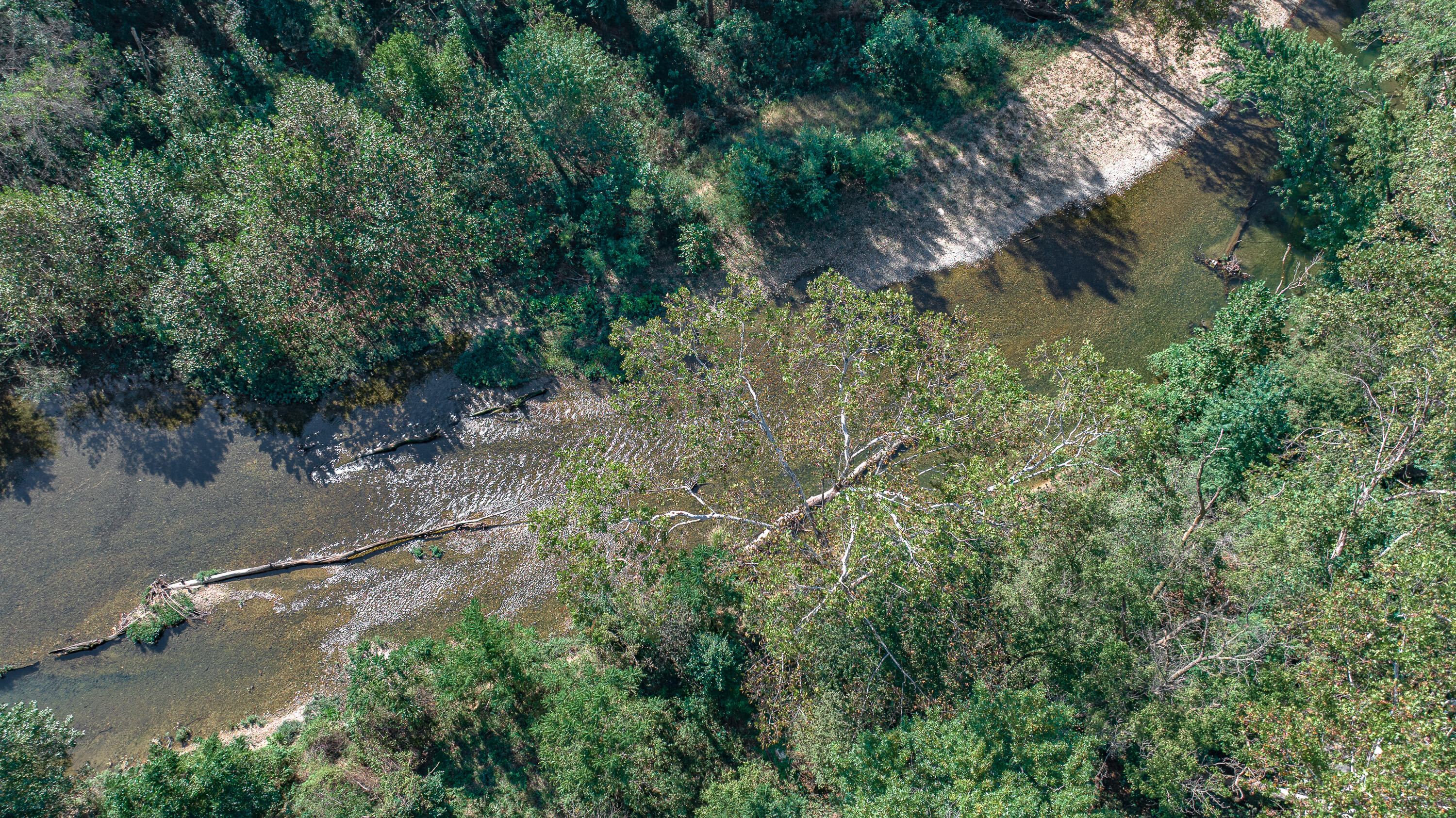 Photo 15 - Land for sale – 101  Water Street  Lanagan, MO