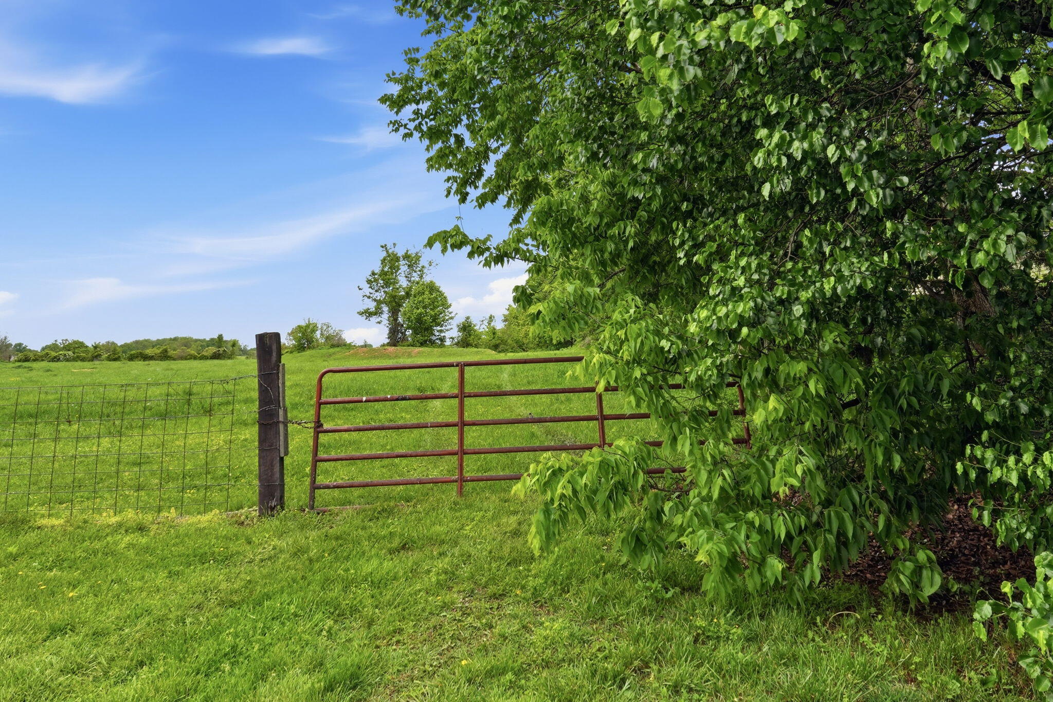 Photo 11 - Land for sale – Tr 2&3 W Mount Vernon Street (Hwy 14)   Nixa, MO