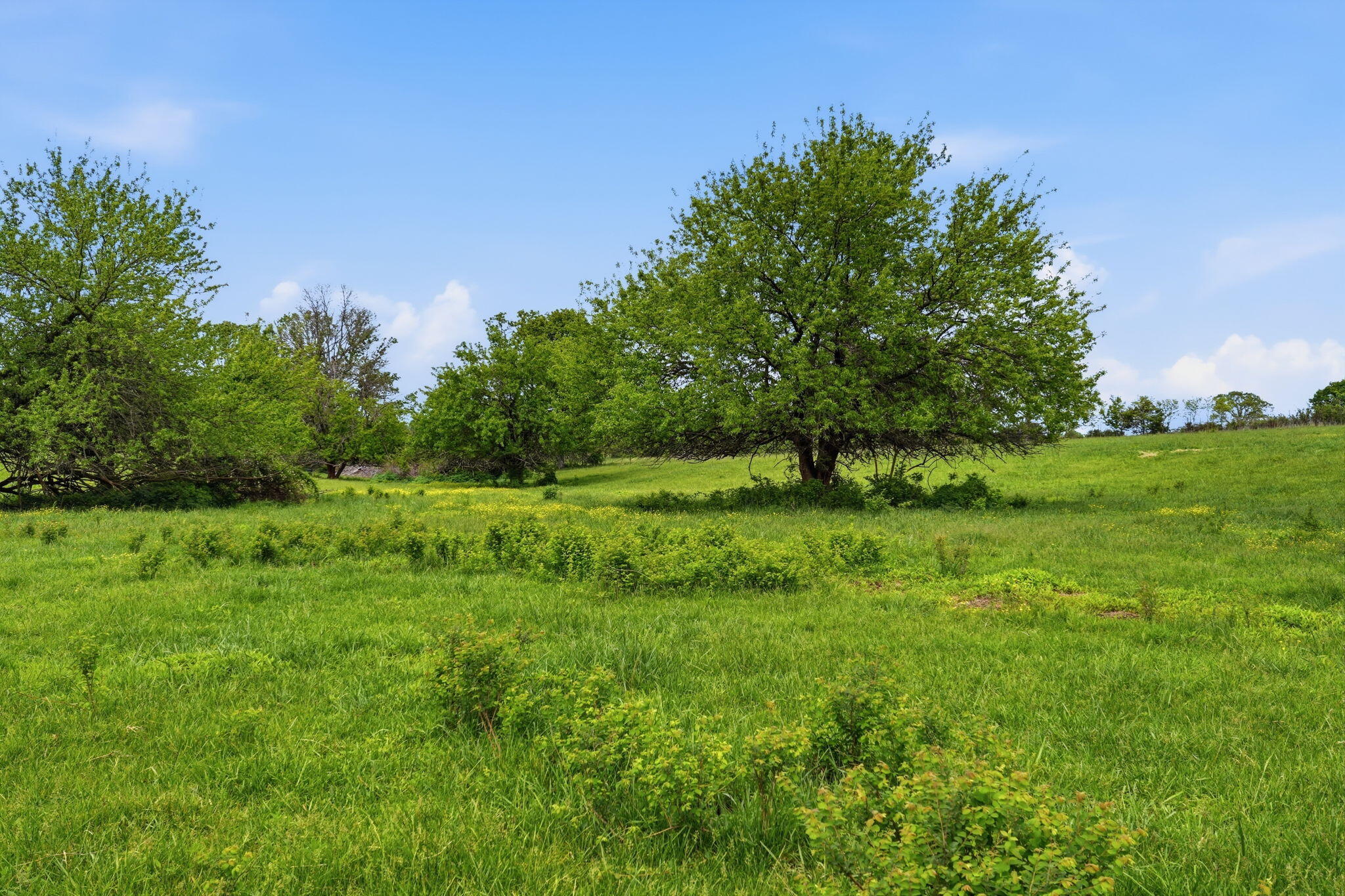 Photo 10 - Land for sale – Tr 2&3 W Mount Vernon Street (Hwy 14)   Nixa, MO