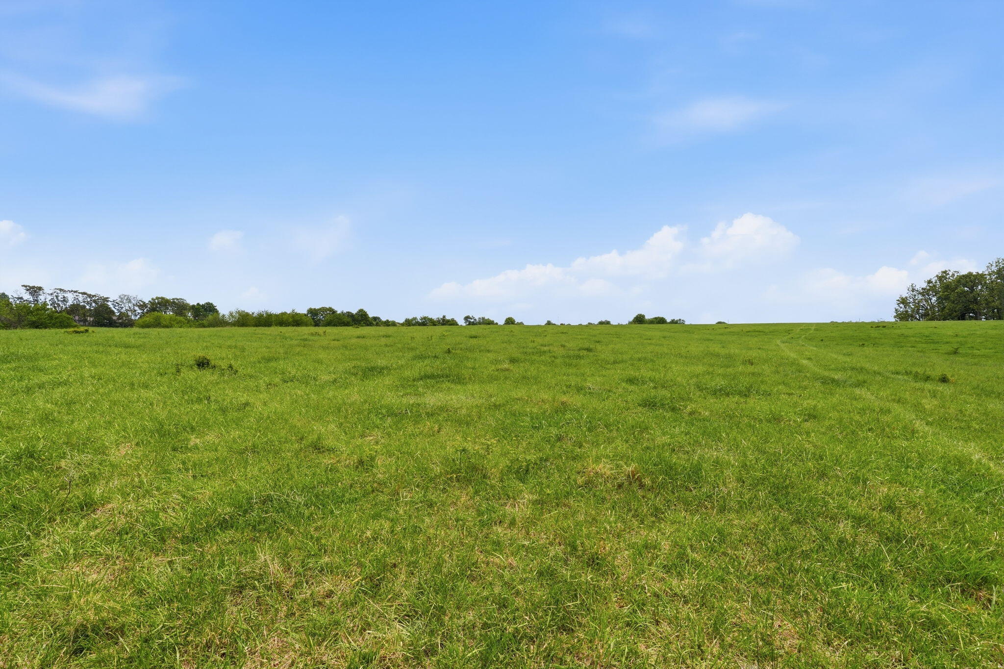 Photo 6 - Land for sale – Tr 2&3 W Mount Vernon Street (Hwy 14)   Nixa, MO