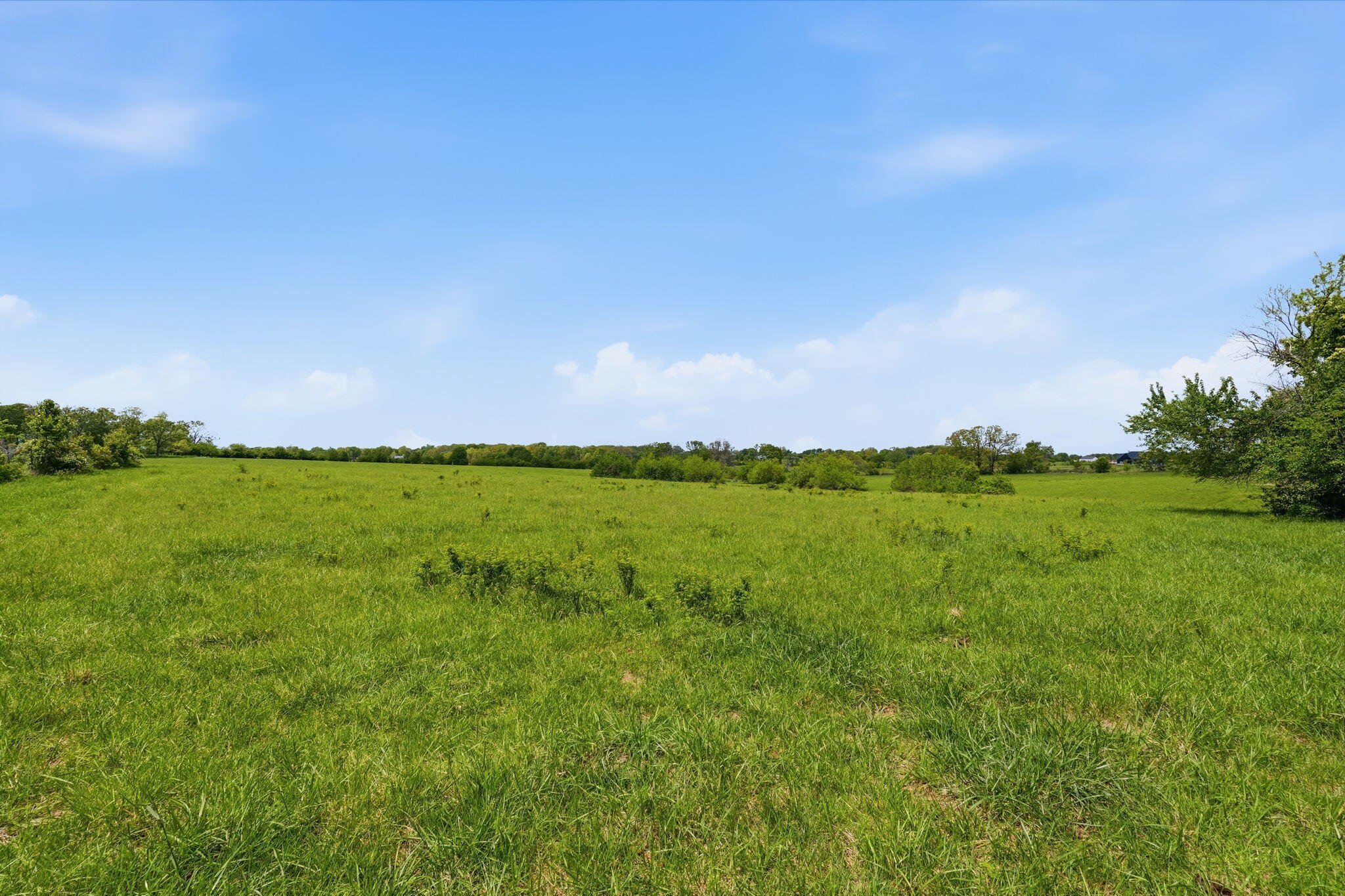 Photo 9 - Land for sale – Tr 2&3 W Mount Vernon Street (Hwy 14)   Nixa, MO