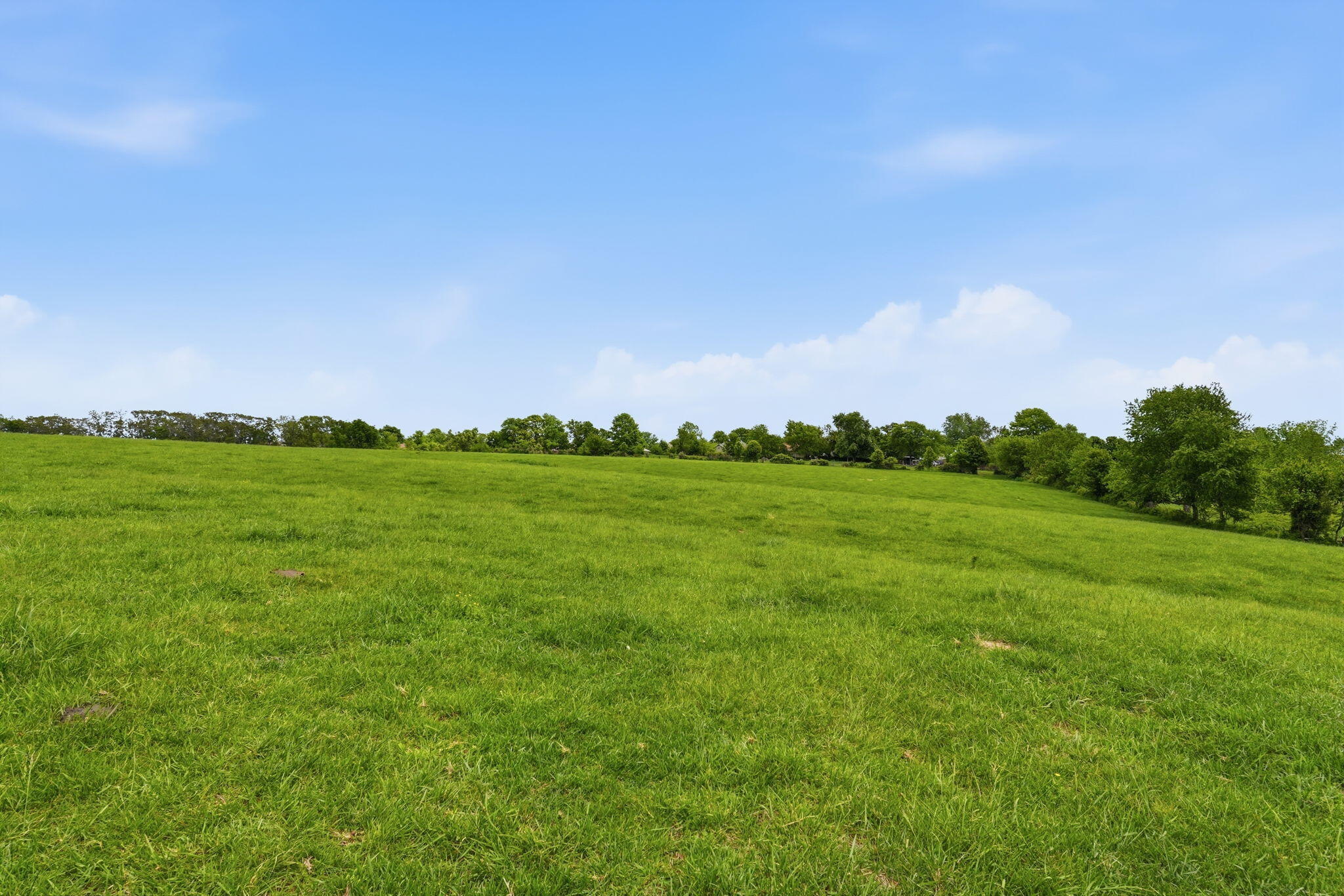 Photo 7 - Land for sale – Tr 2&3 W Mount Vernon Street (Hwy 14)   Nixa, MO